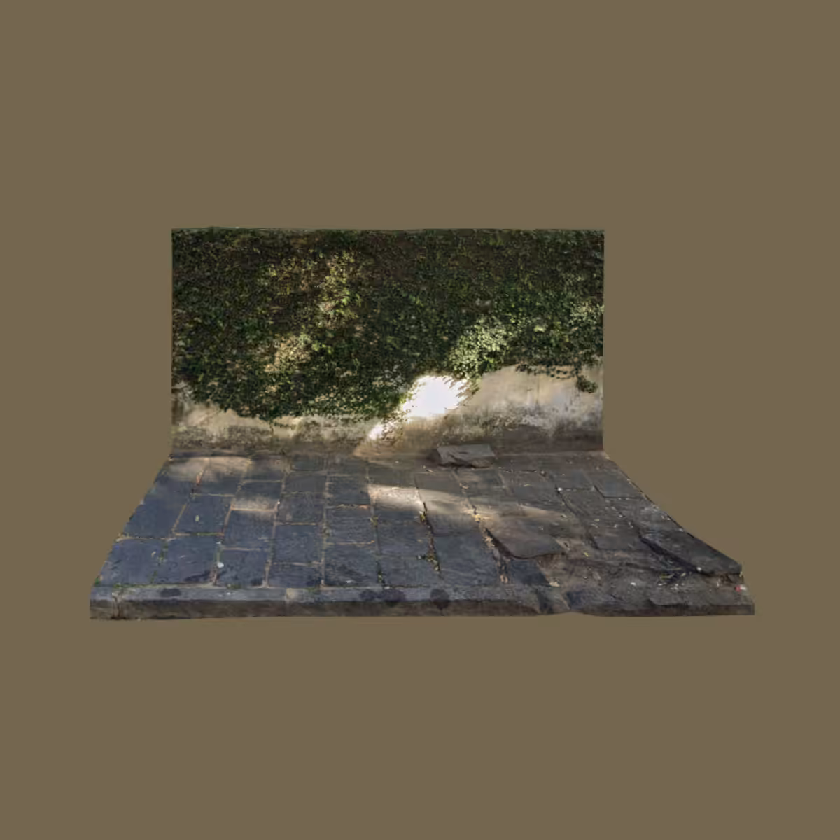 T1184522518D5