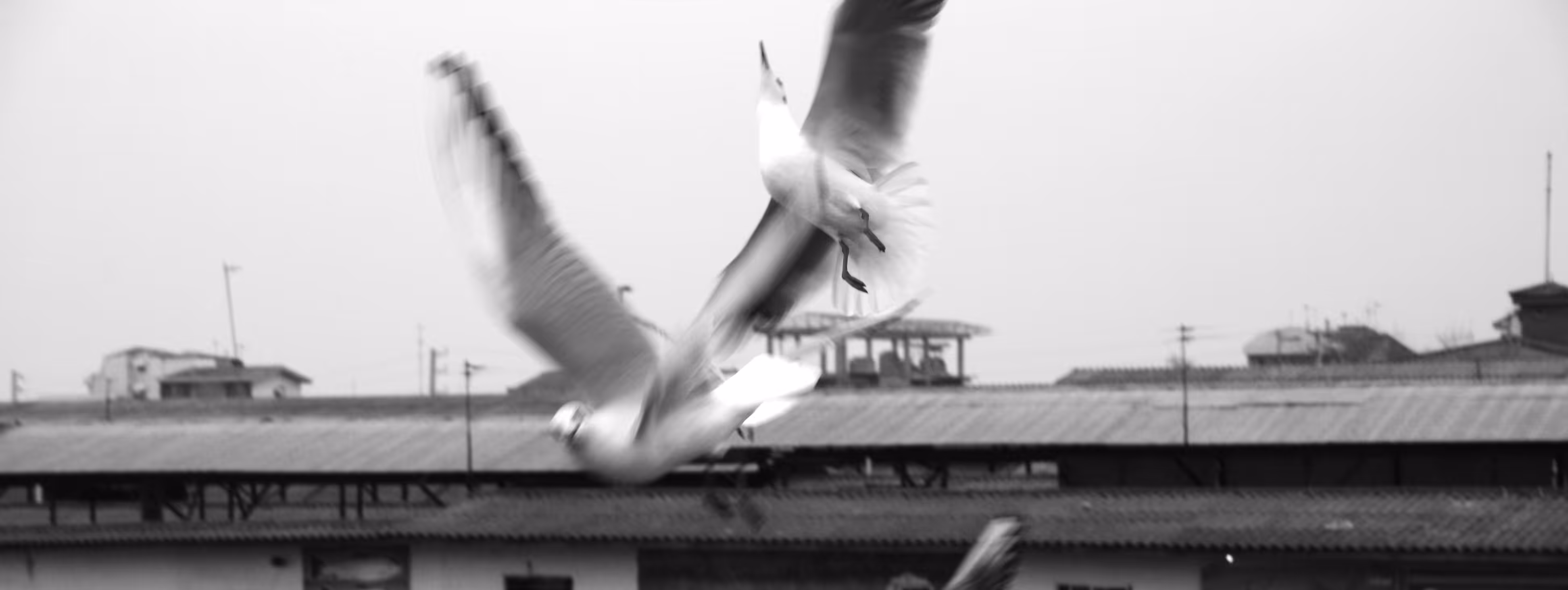 RemembeR HoW TO FlY