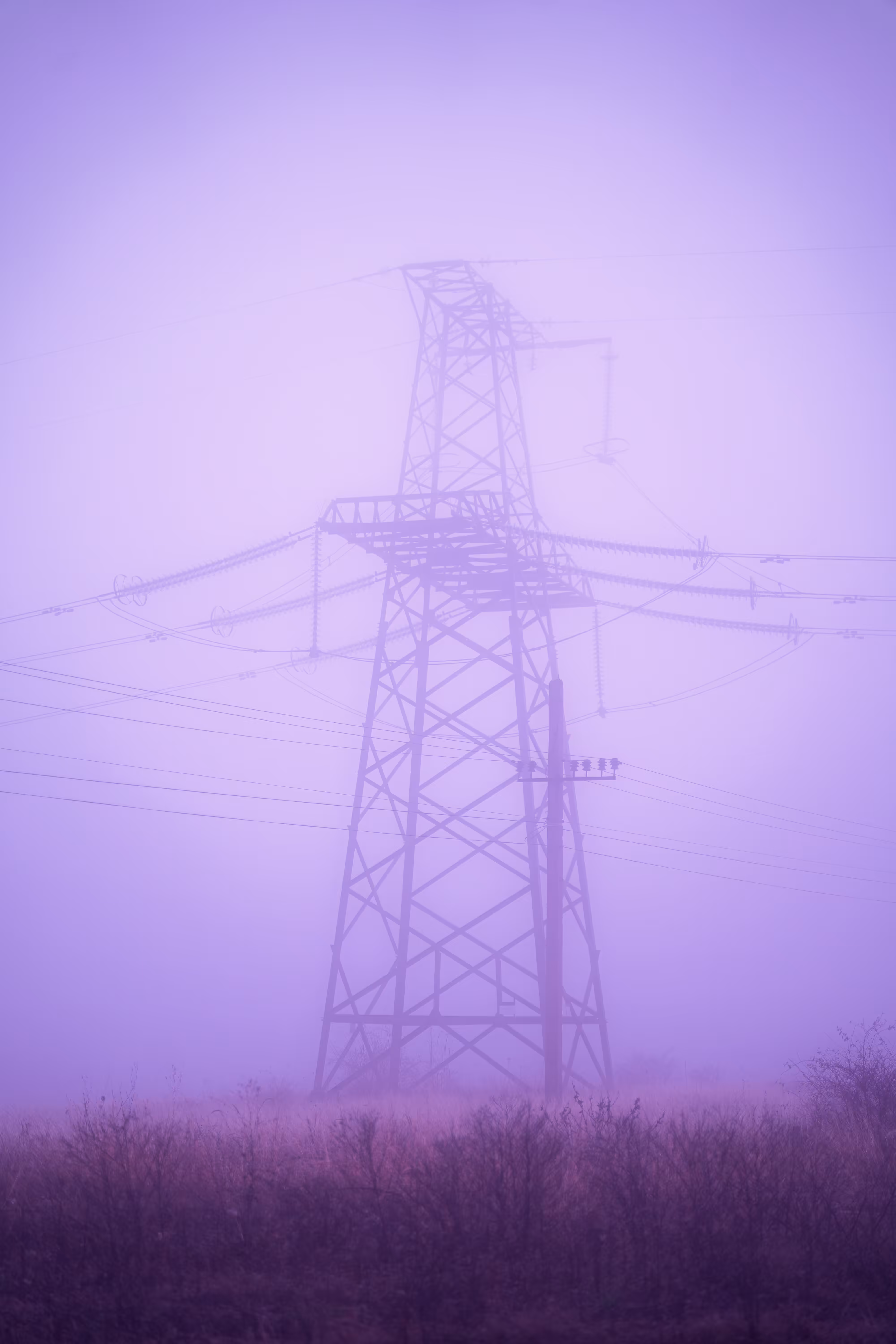 Lost in the fog
