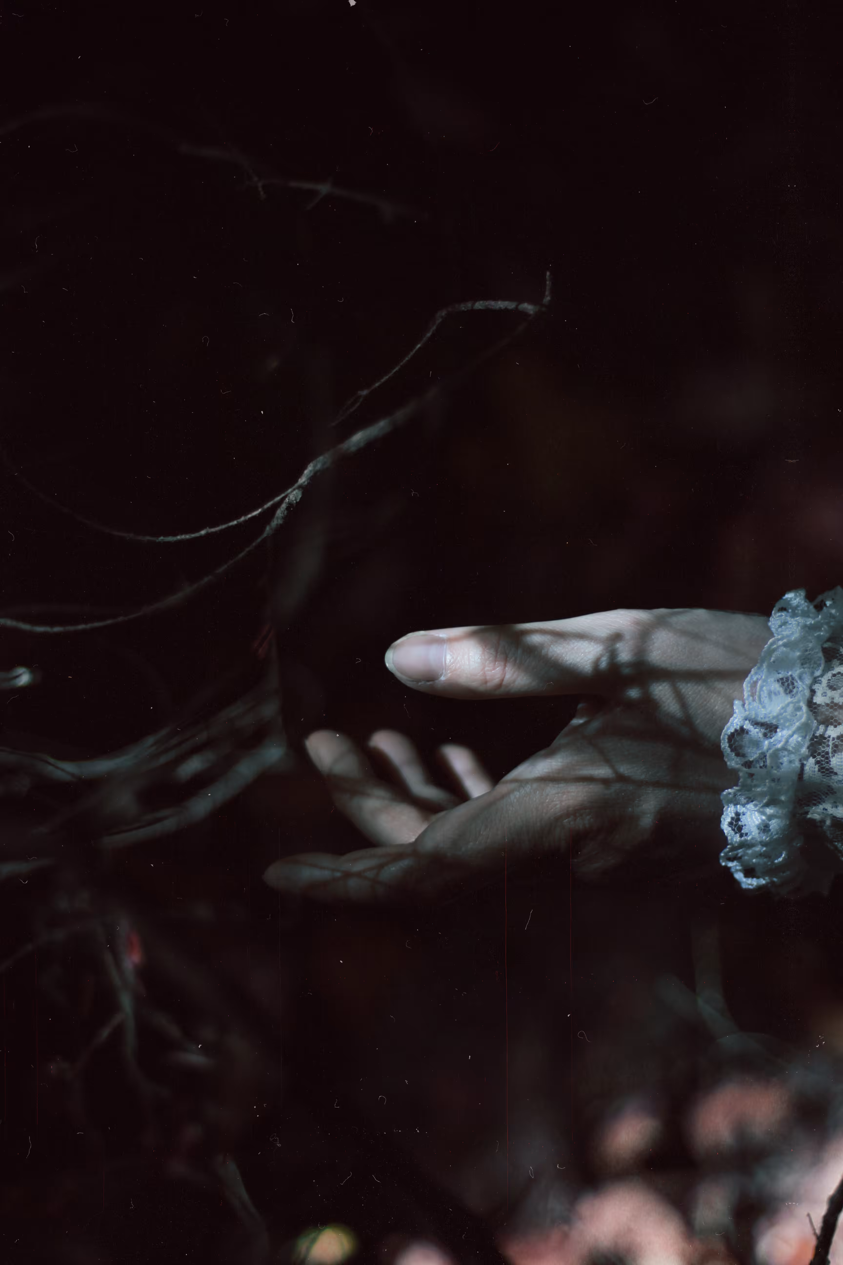Forest language of shadows