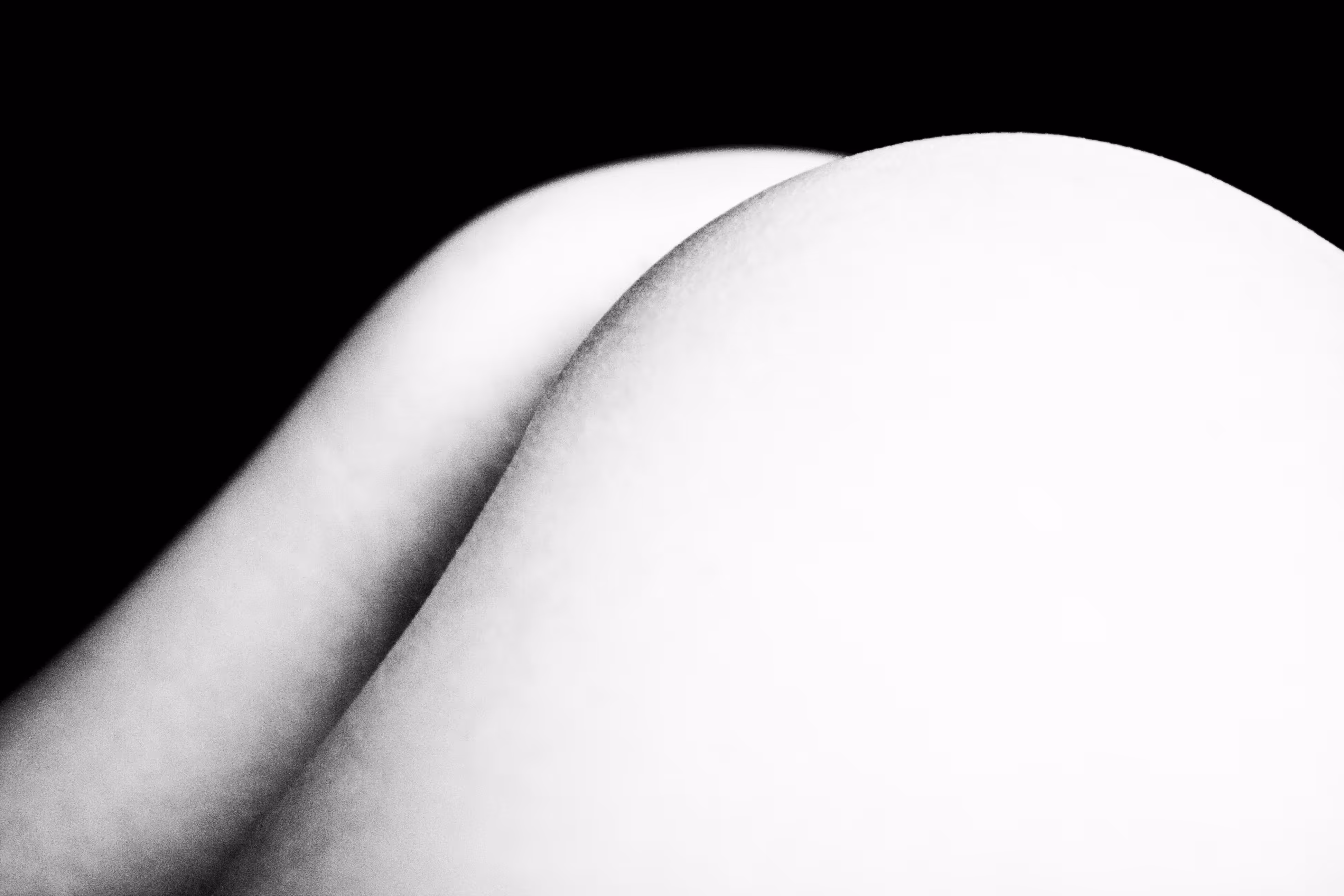 Ashley Haven #1