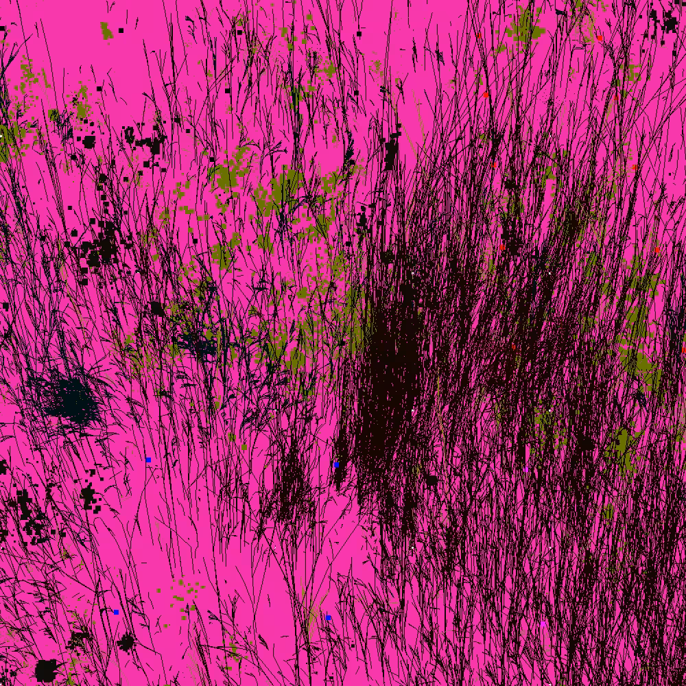Infinite Garden: 40387 Flowers