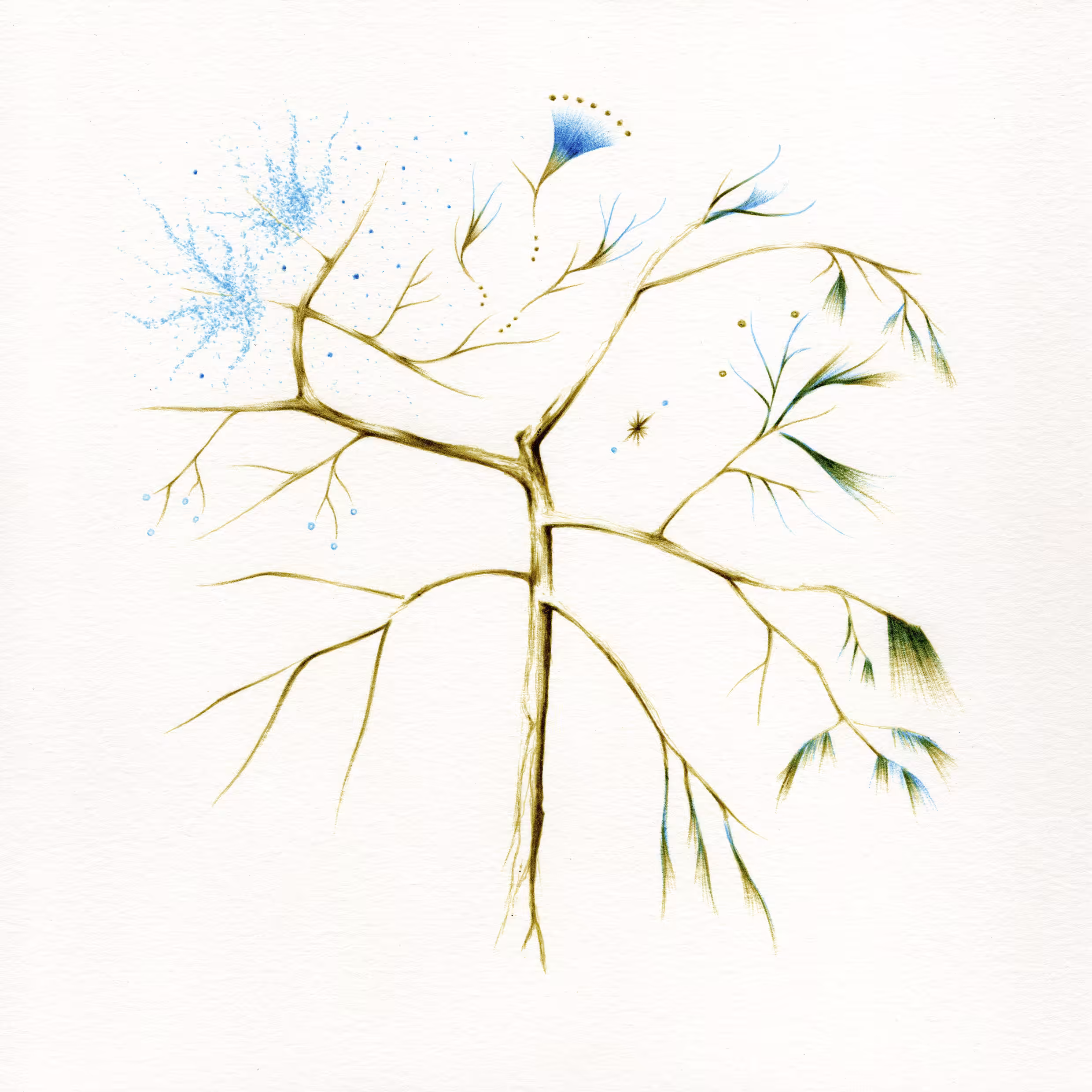 imaginary trees: imaginary tree #12