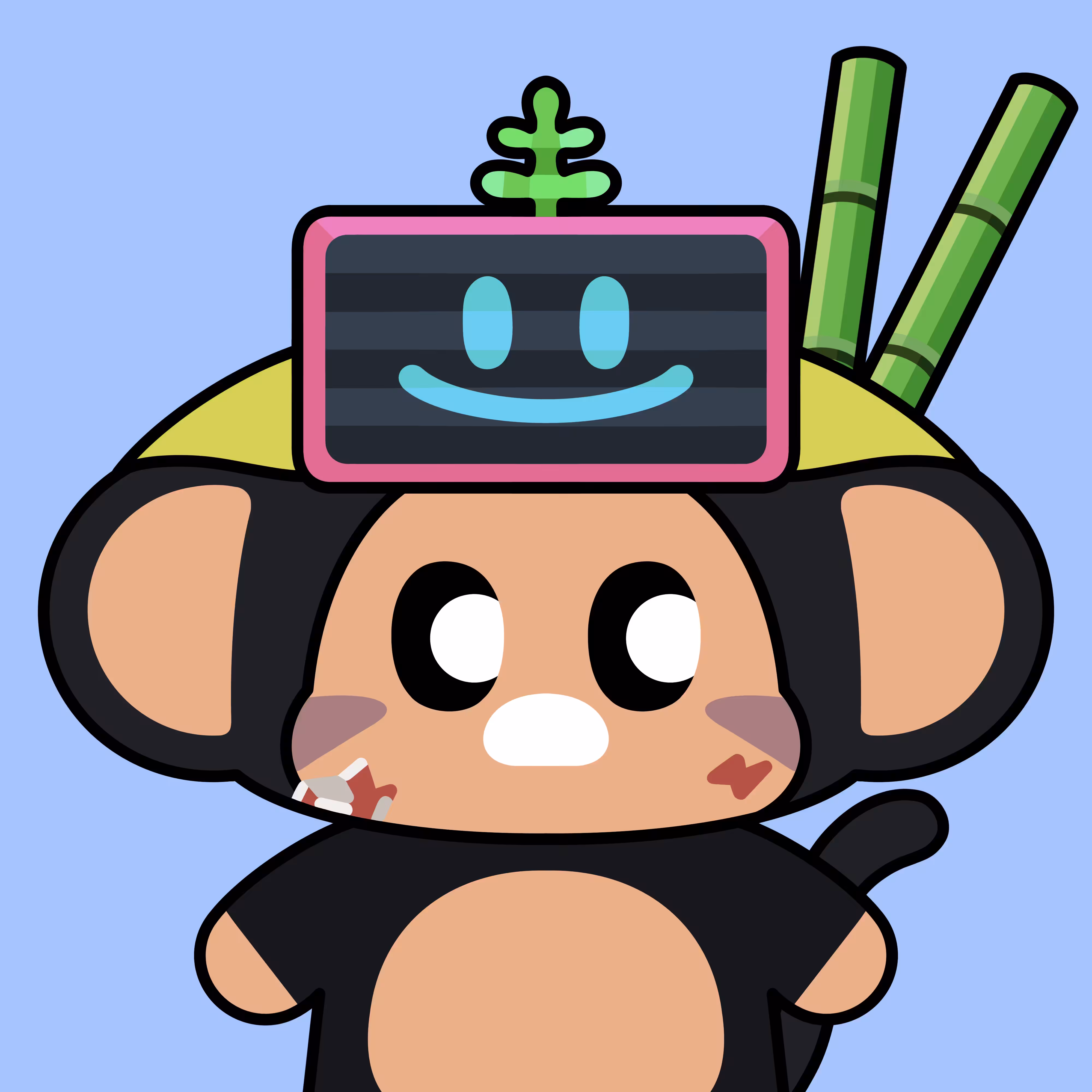 Chimpers: Sasora