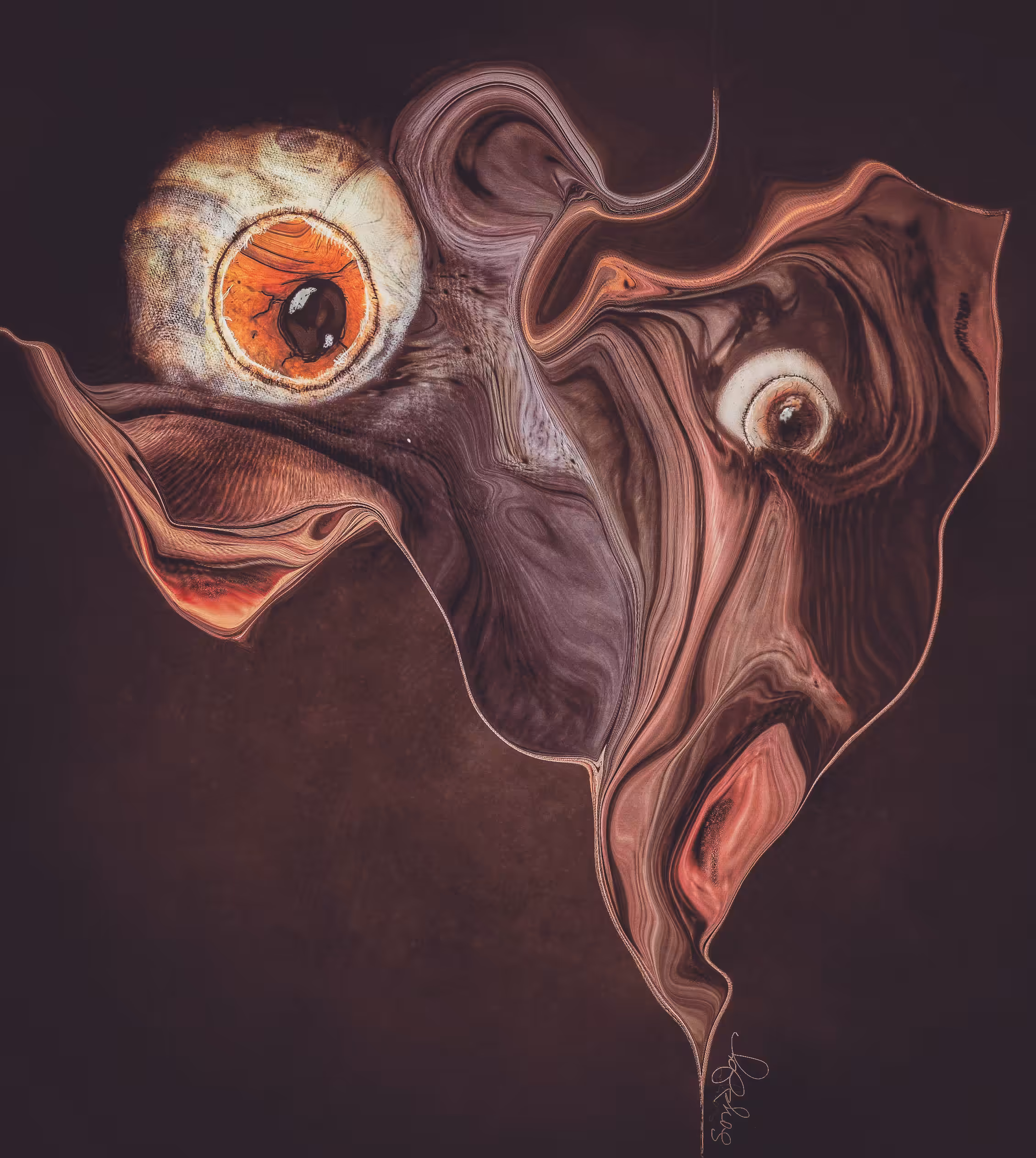Can You Finally See?