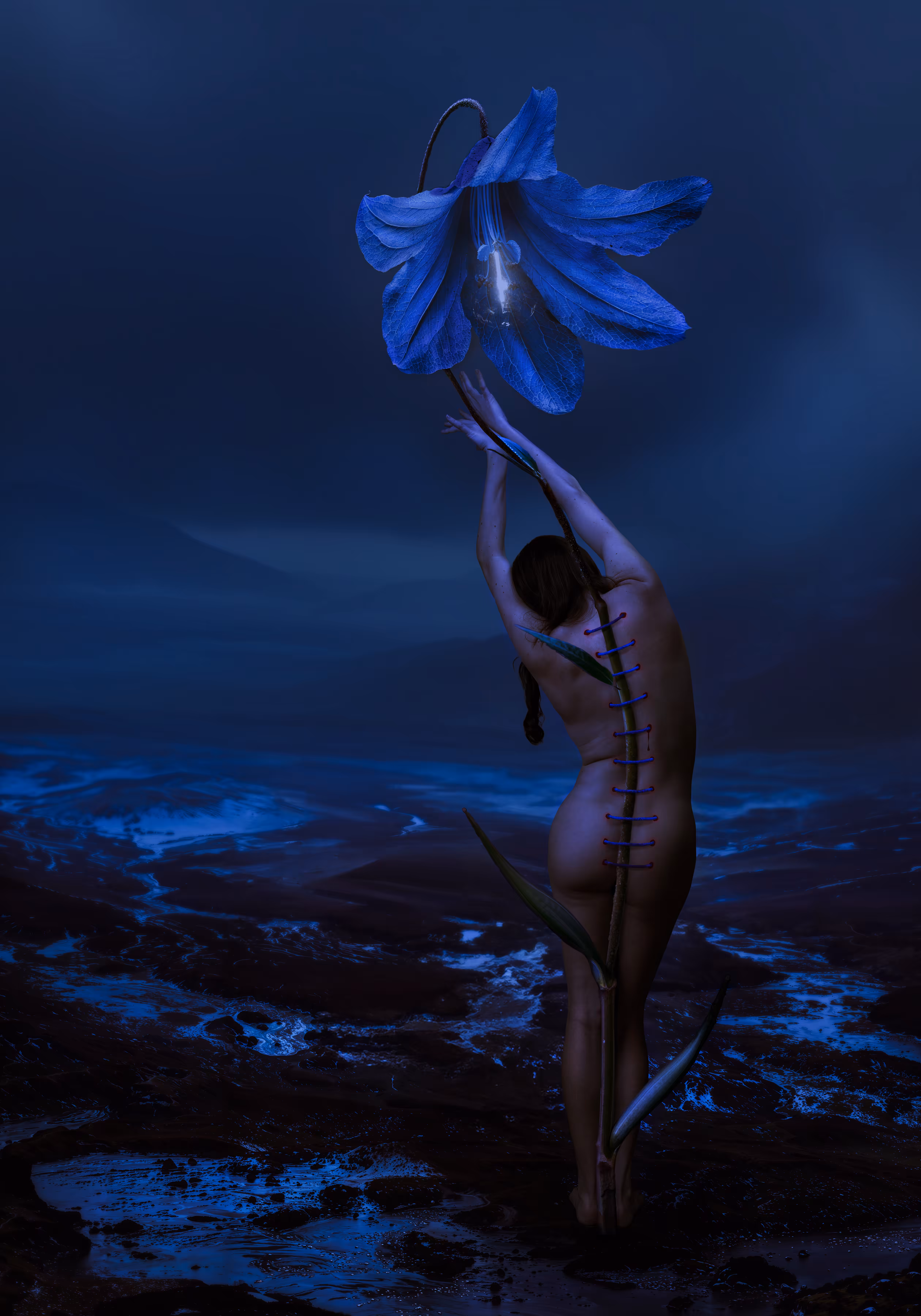 BLOOM