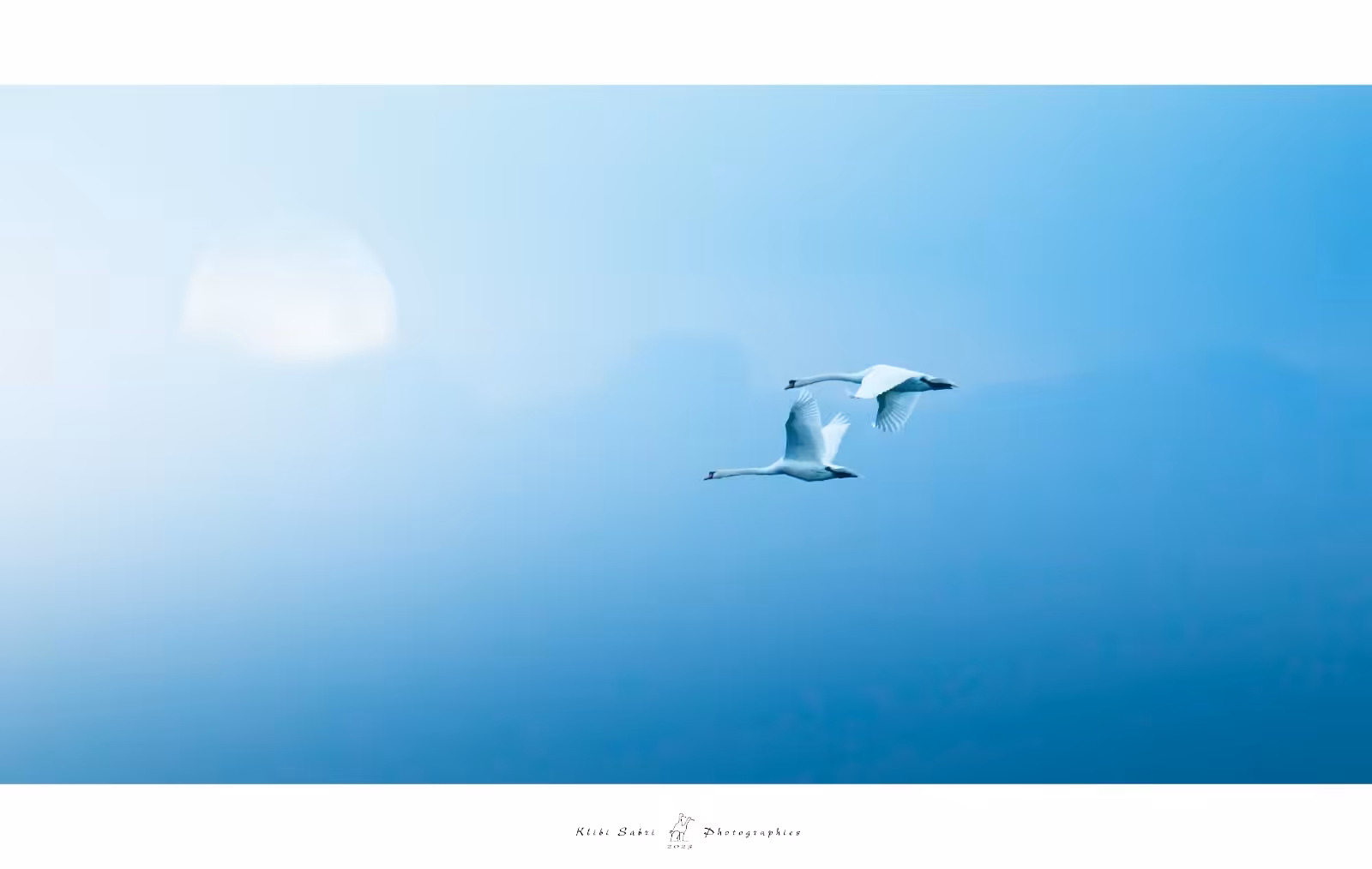Blue love