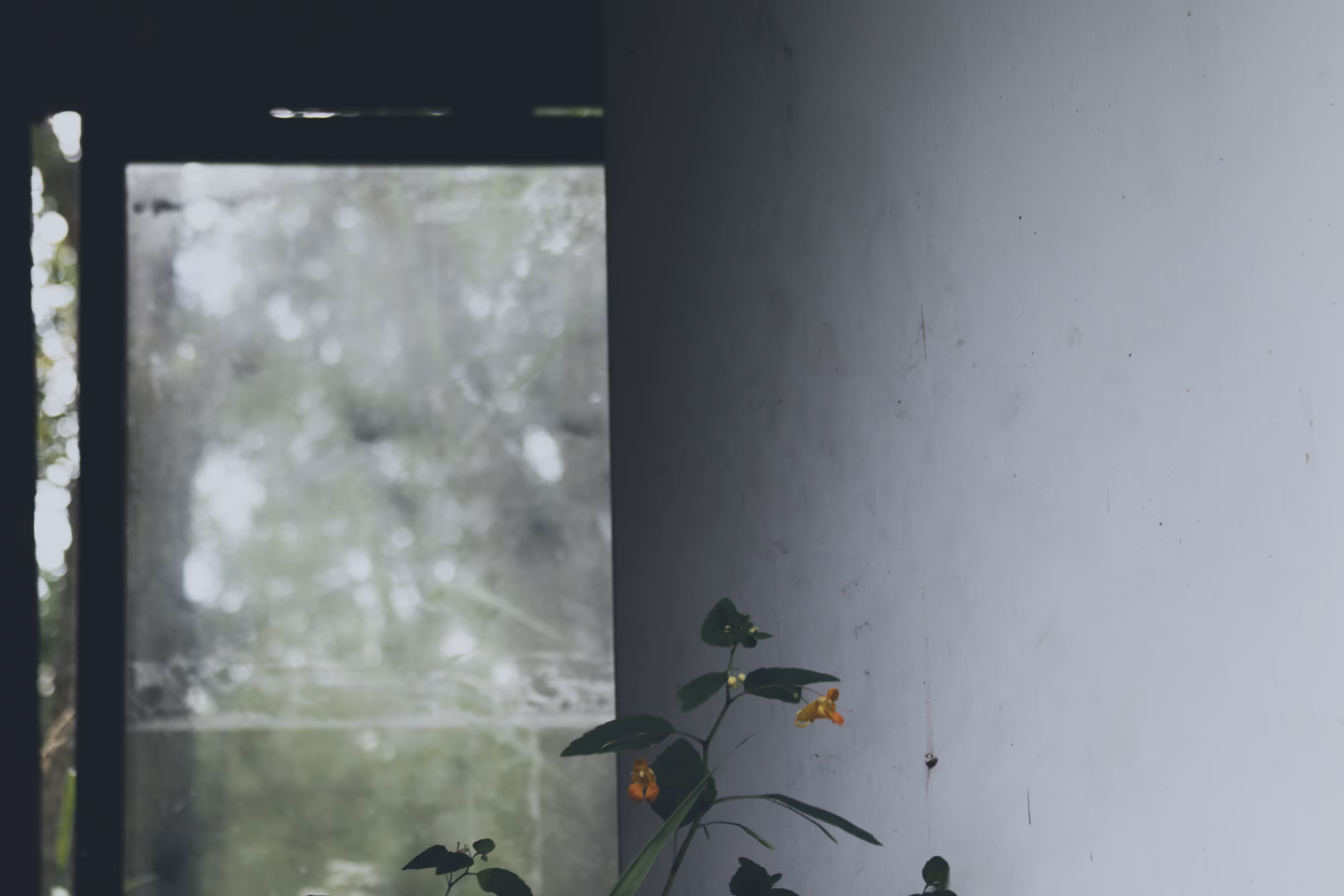 _walls