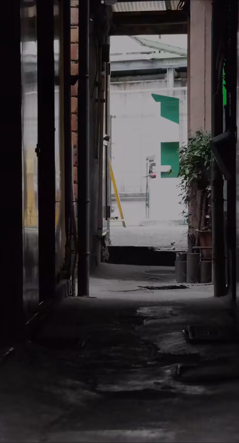 you're in a simulation and a digital cat manifests itself on an alley saying nyan