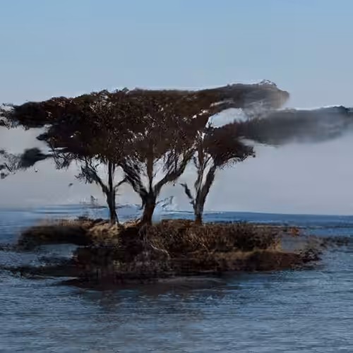 Island #18
