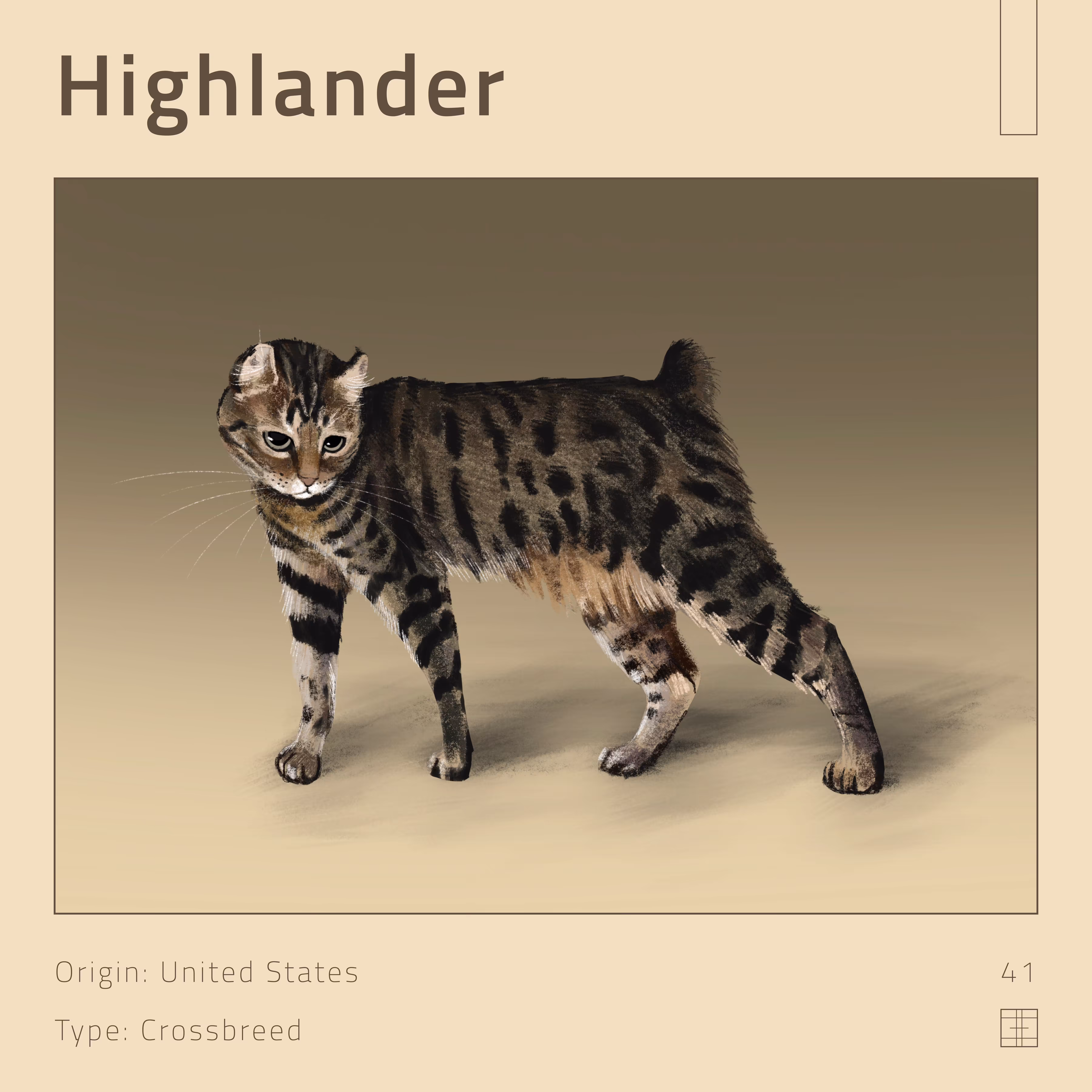 41 – Highlander