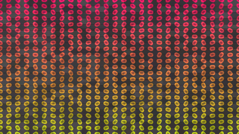 Polka #202