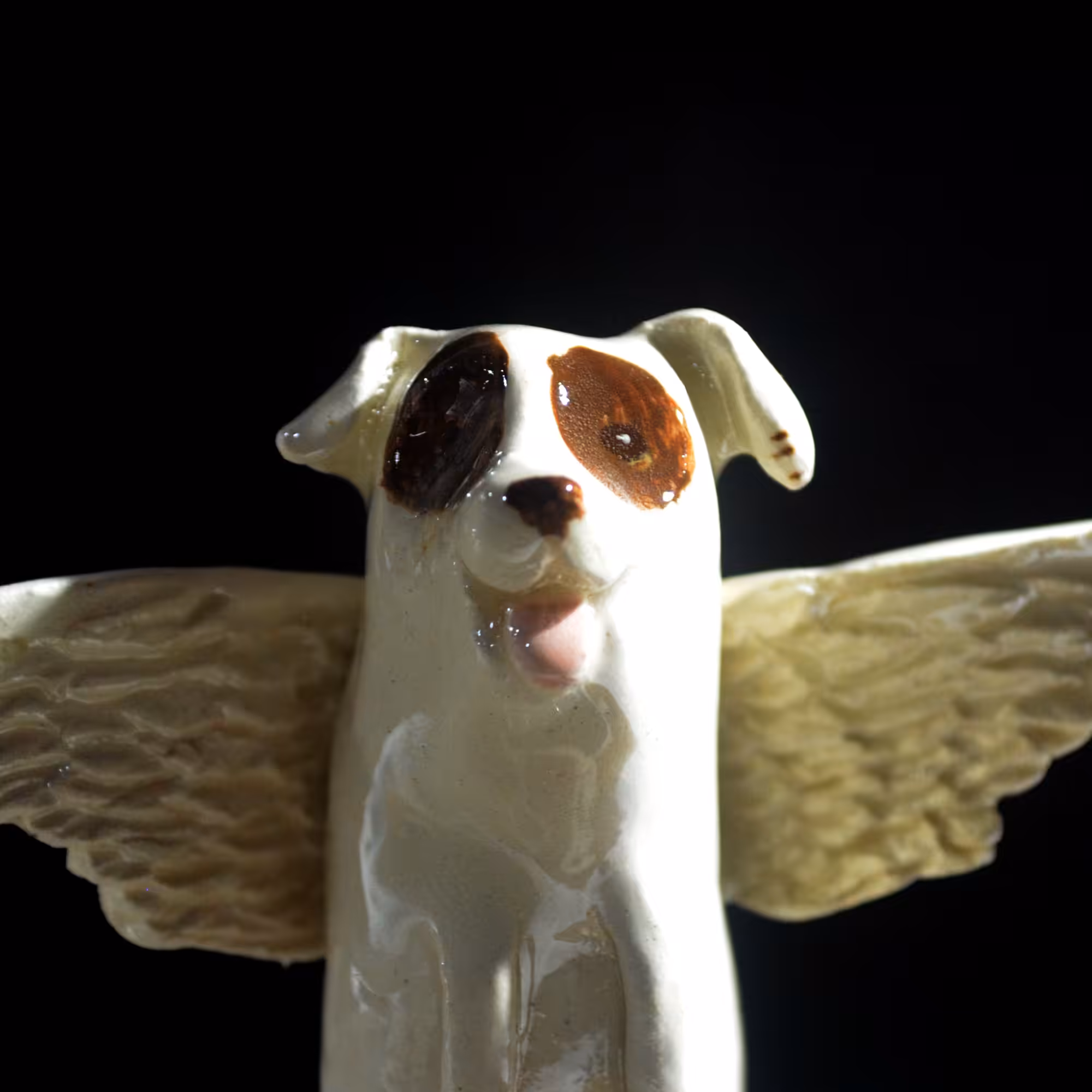 pfpup#0043