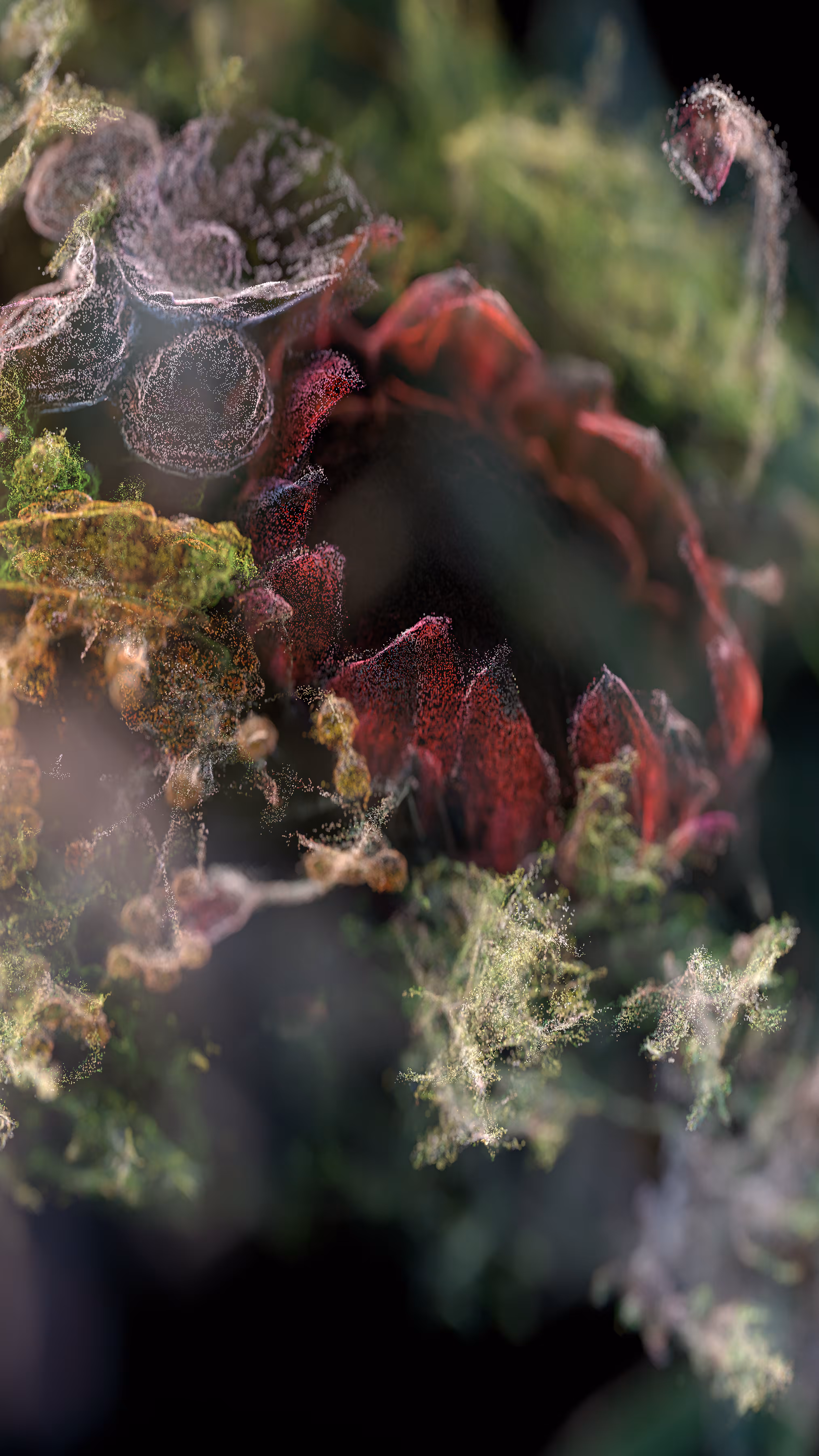 Cloudburst #9