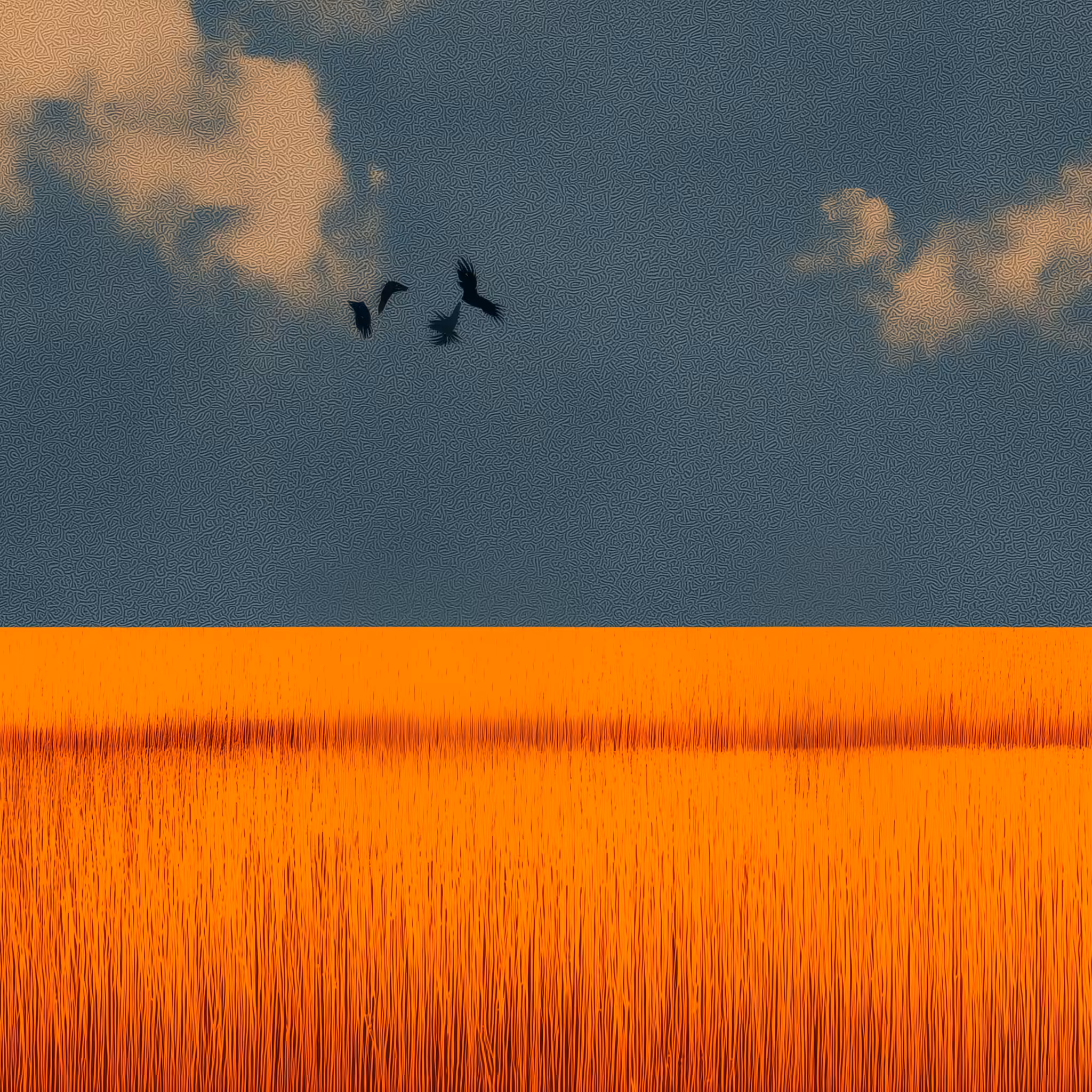 Whispers Over Ember Fields
