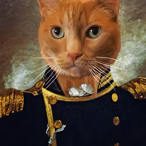 Admiral Liam