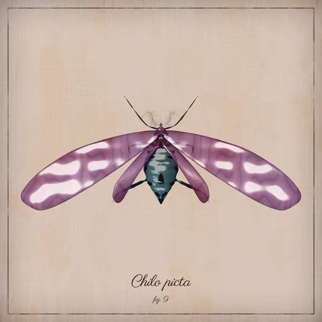 ProcGen Entomology #45