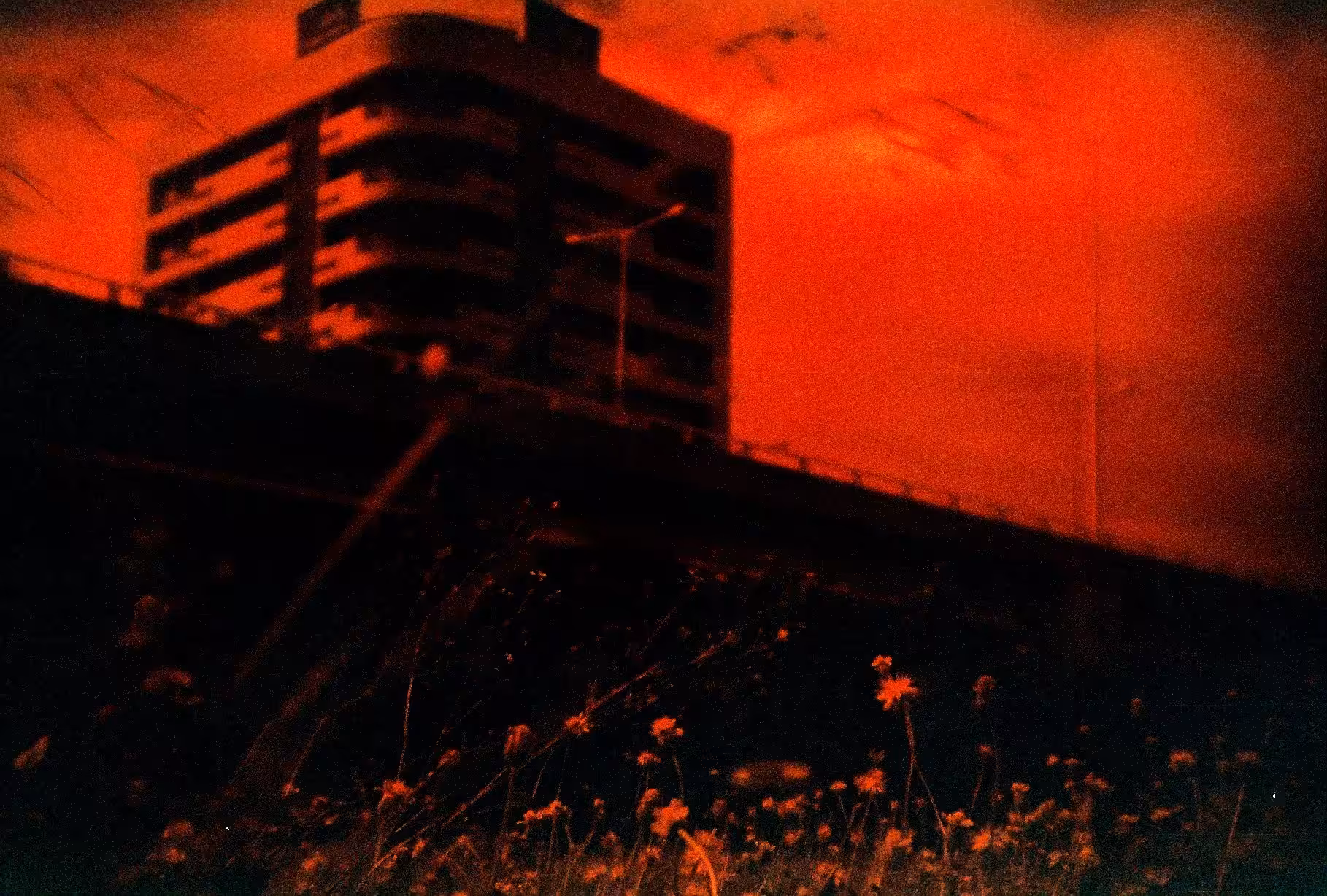 Redscale - Building