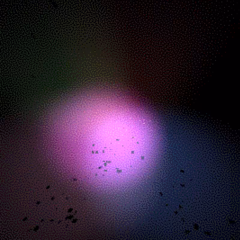 Moths #38