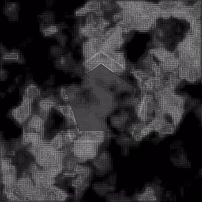 X-Ray #19