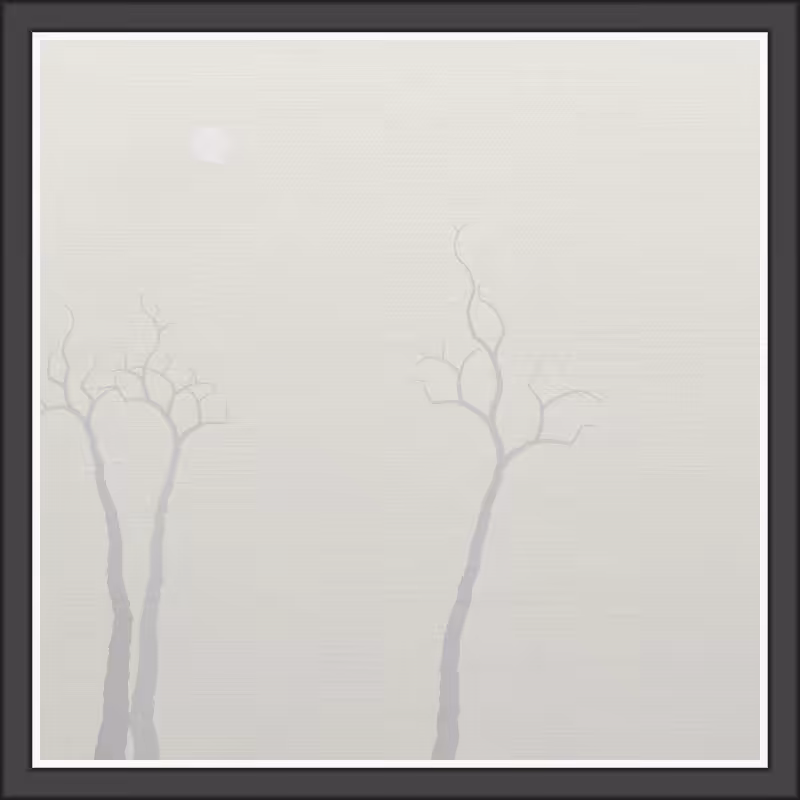 The Foggy Trees #19