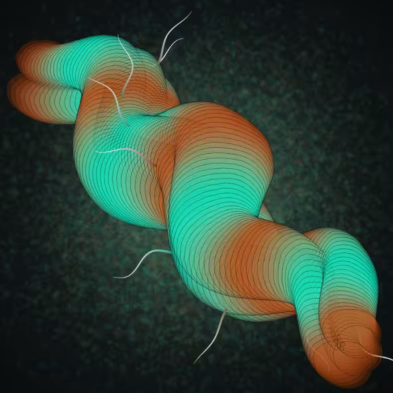 Flimsy #3