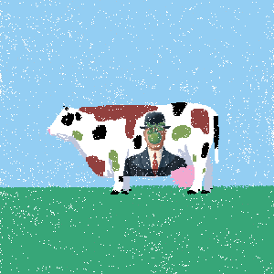 cows: cow #154