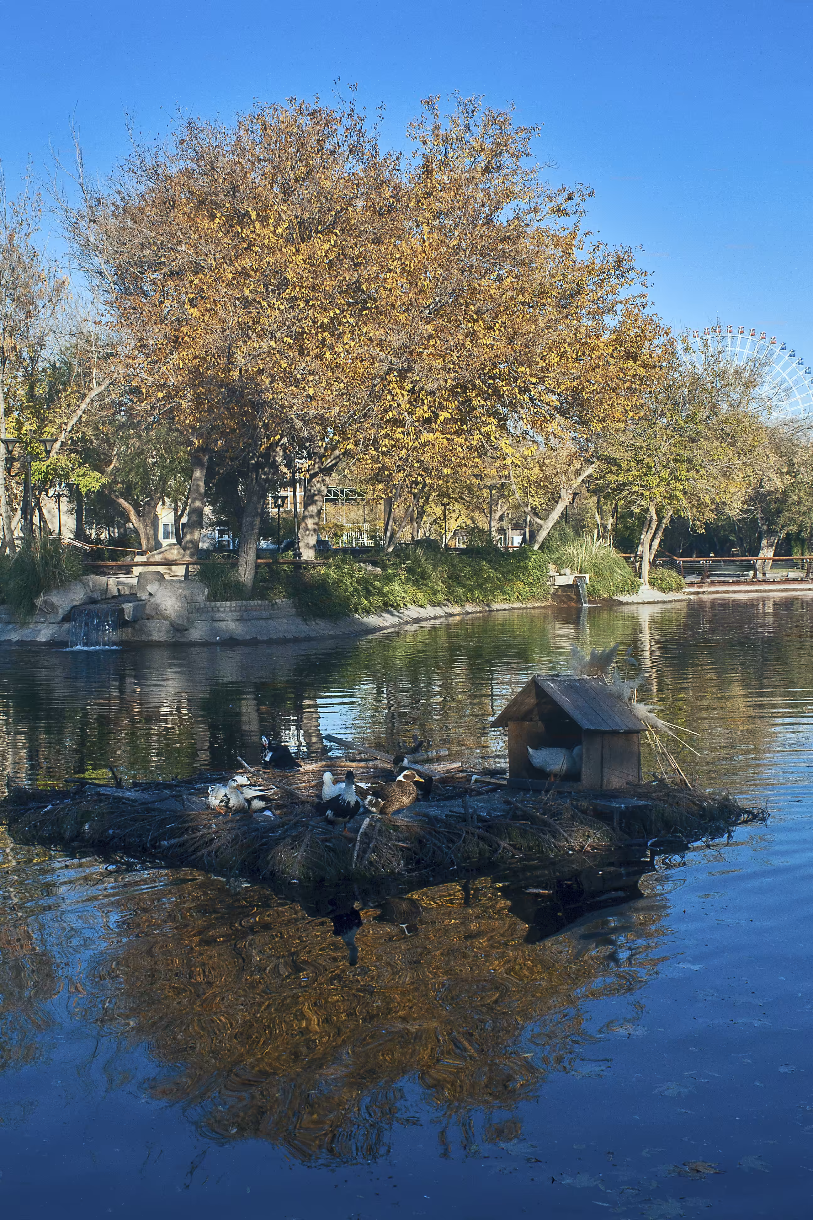 Lover's pond