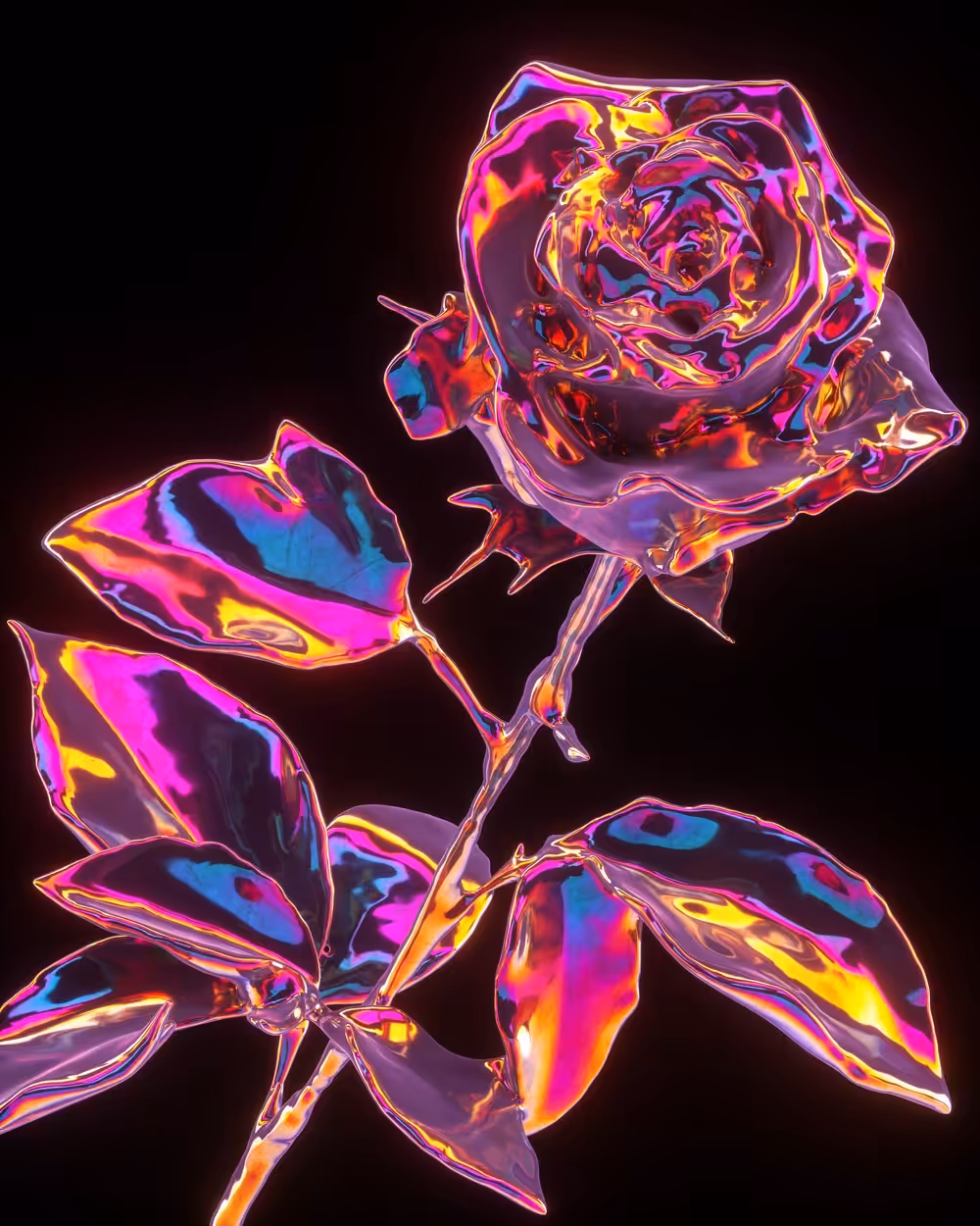 The Iridescent Rose
