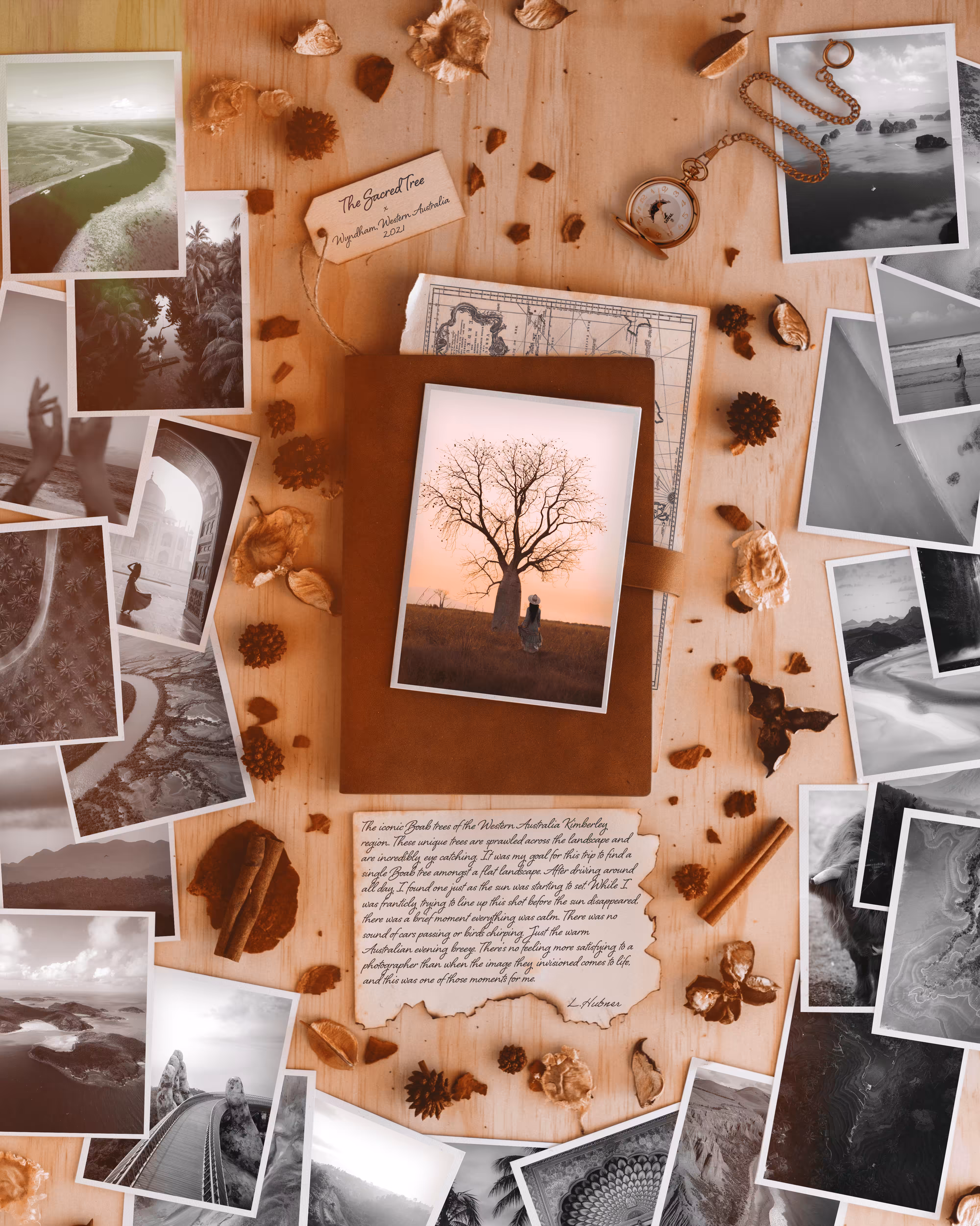 #18 The Sacred Tree Story