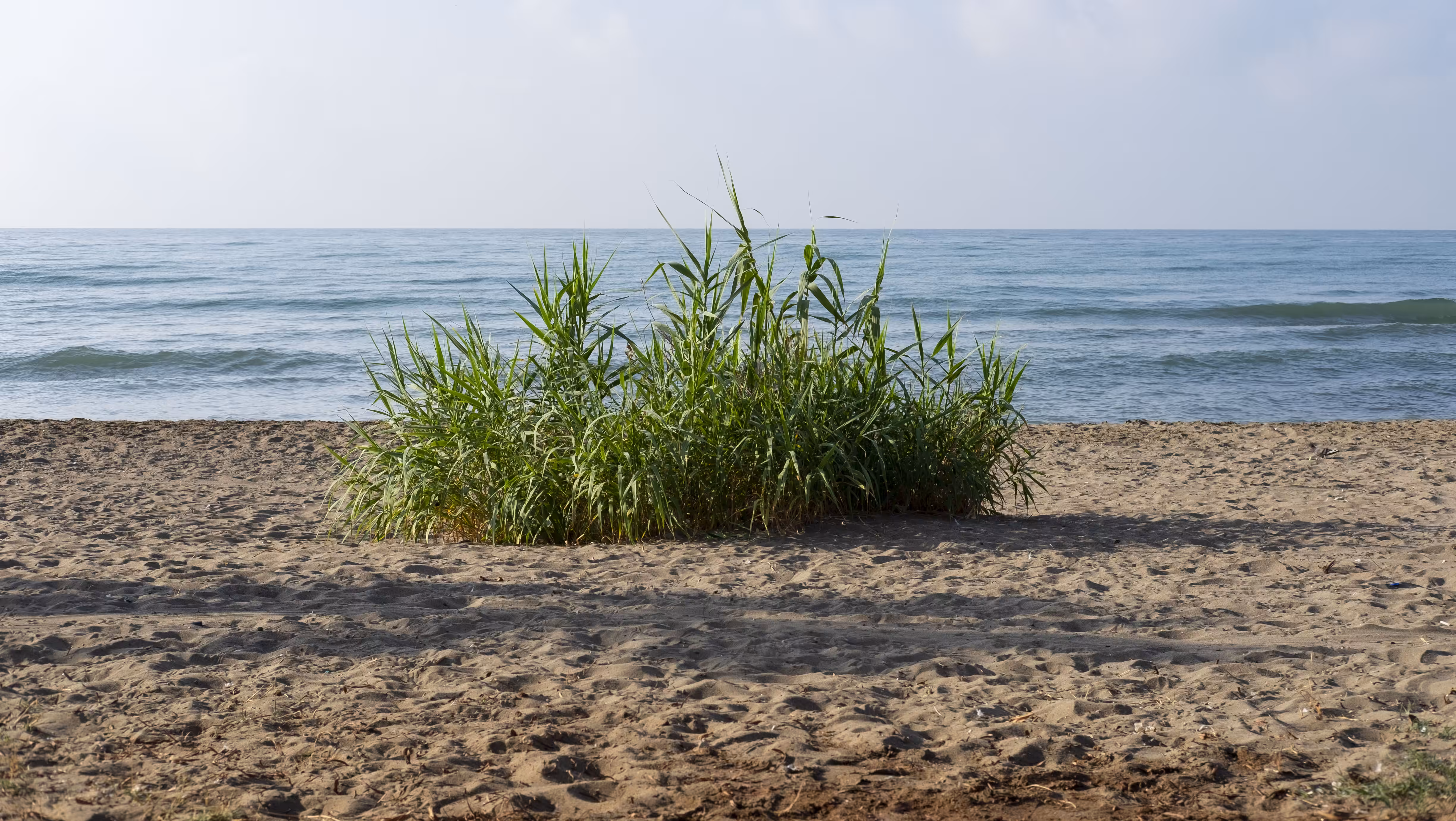 The sea of my childhood