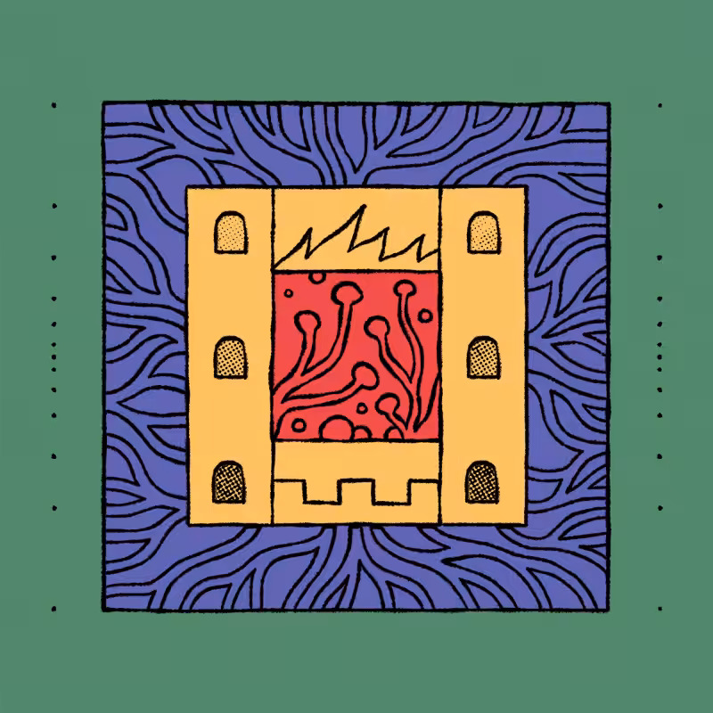 borders #401