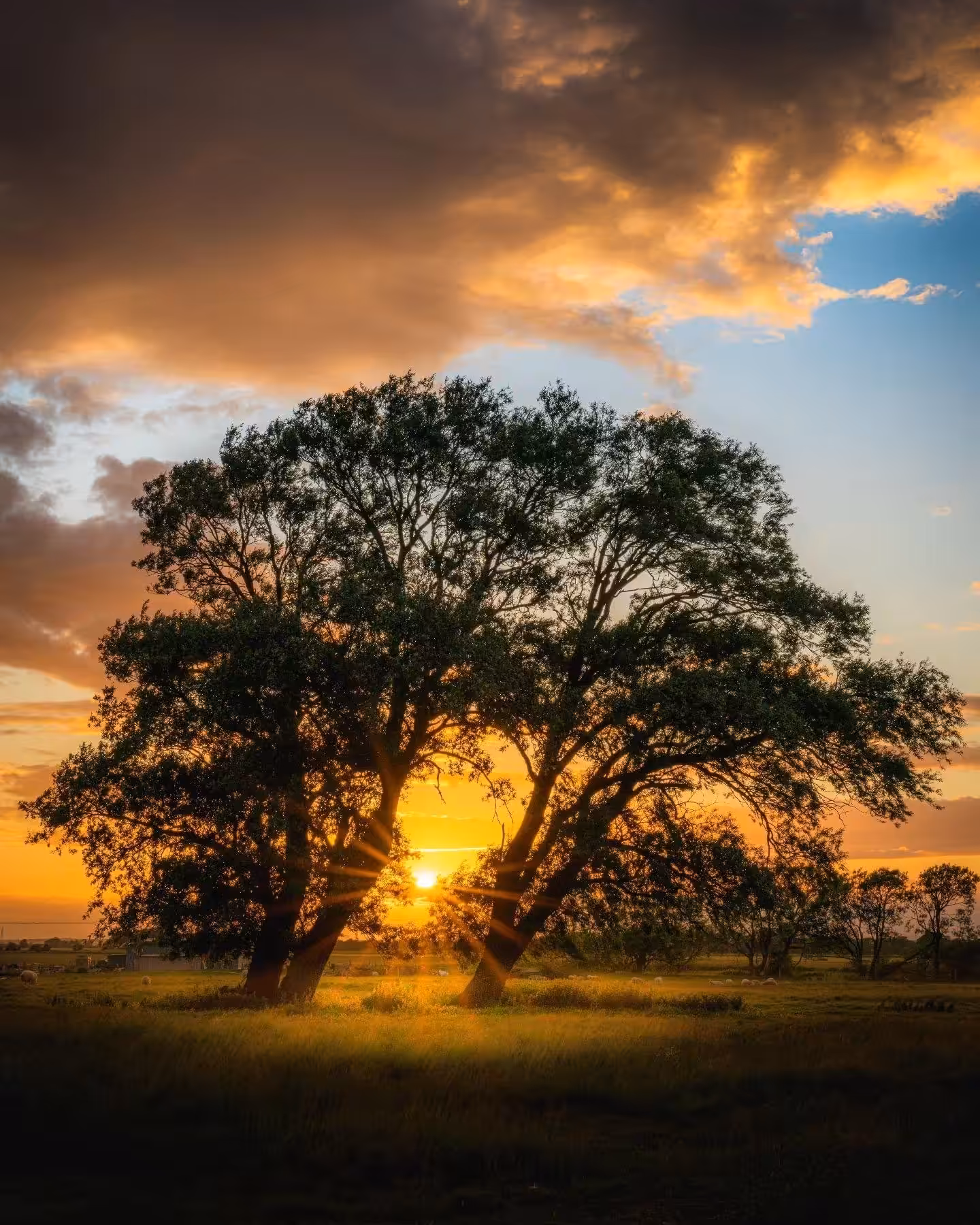 South East England :16