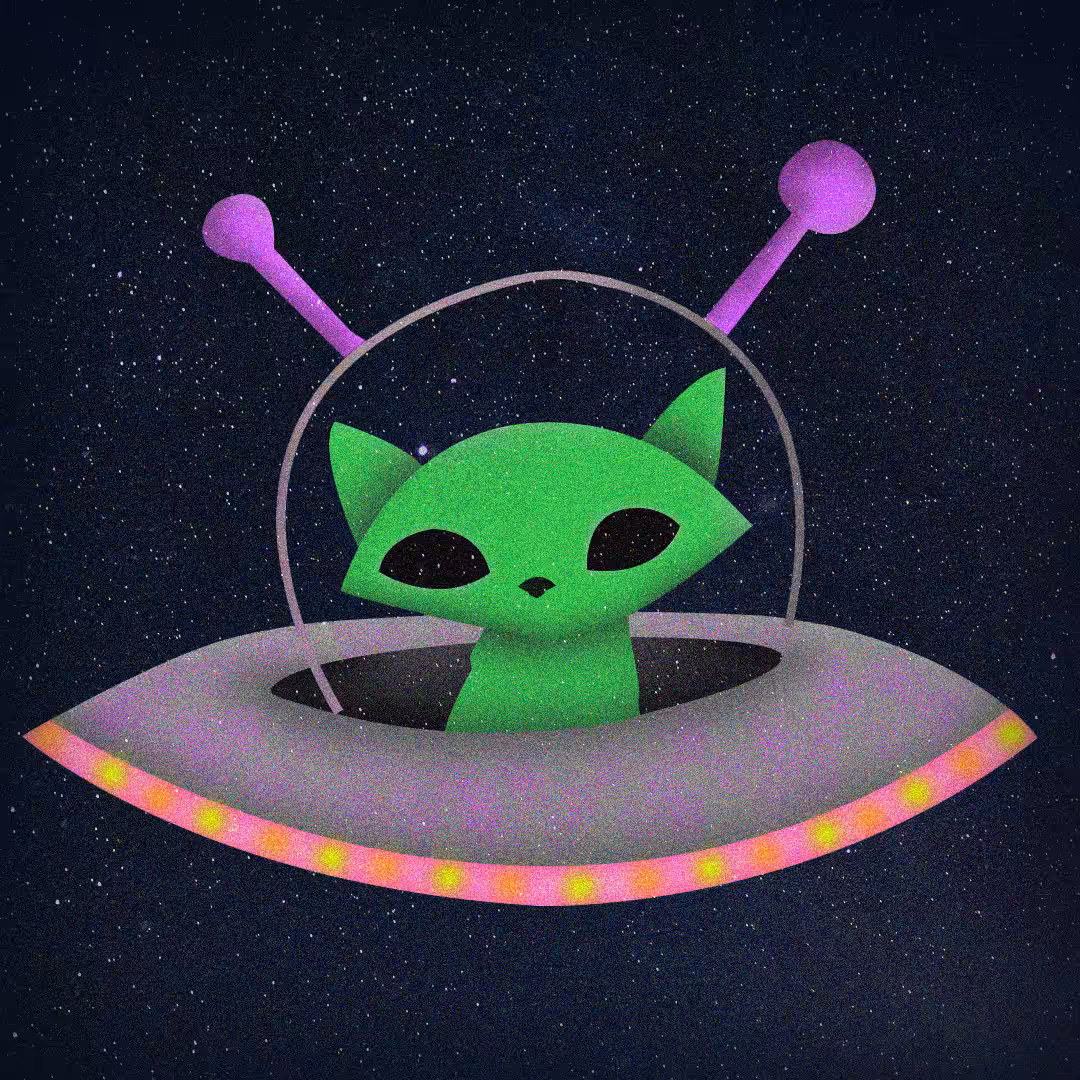 SPACE CAT
