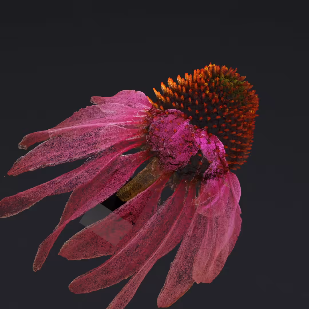 Just a flower V