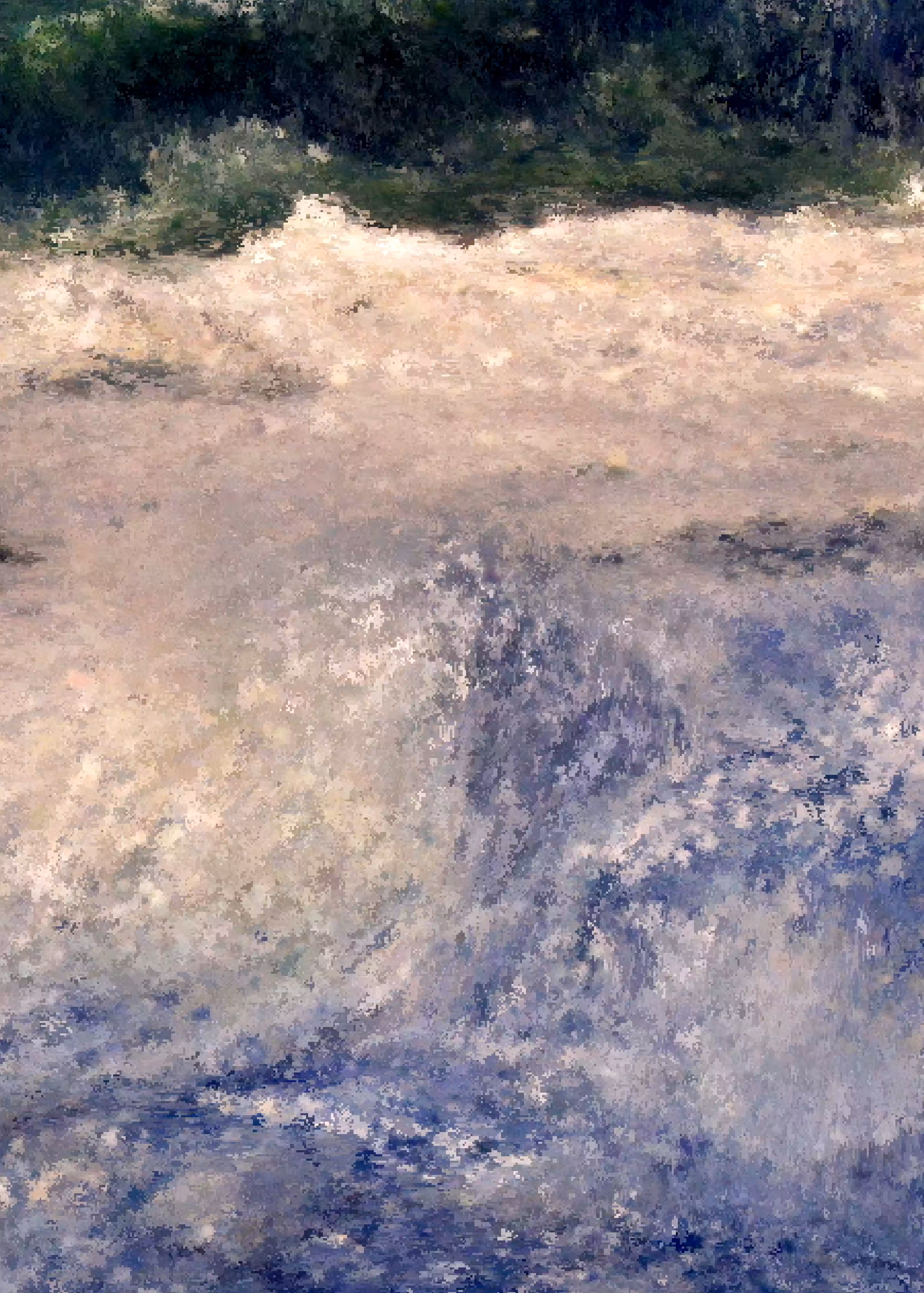 Storms XS : Storm #06__K01_01594-08