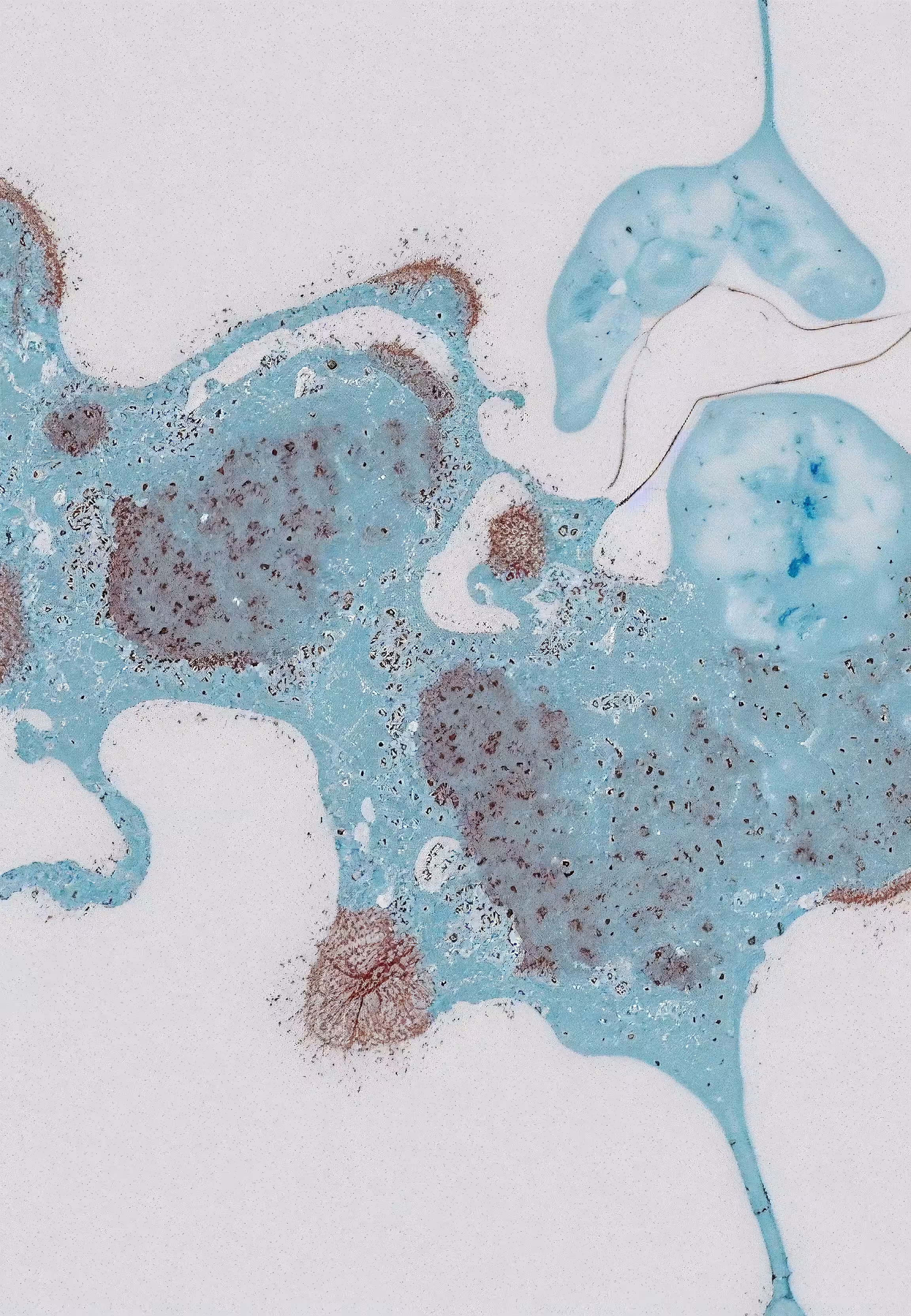 In Vivo, In Vitro, In Silico: Histologia In Silico #127
