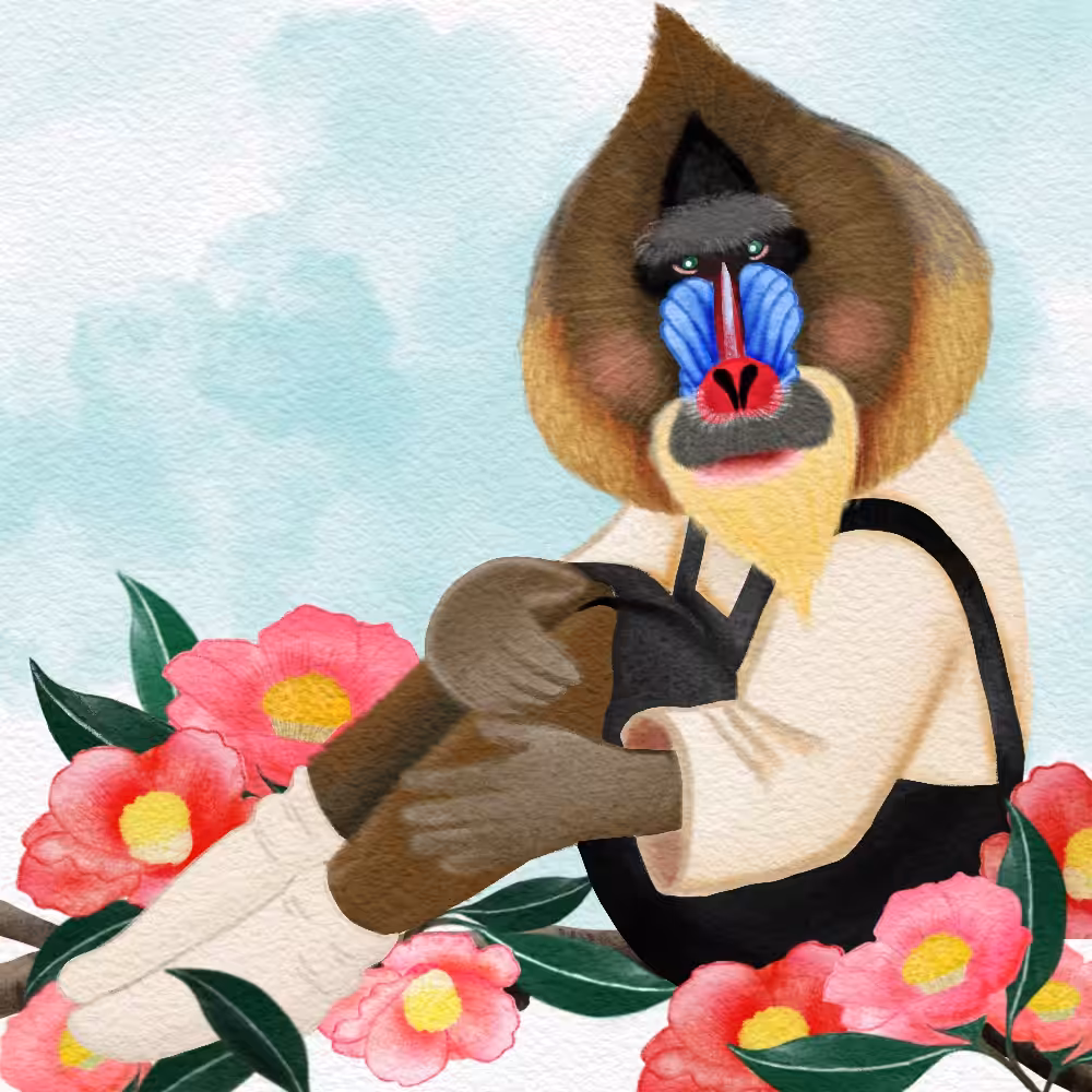 Mandrill Monkey sweet mode.