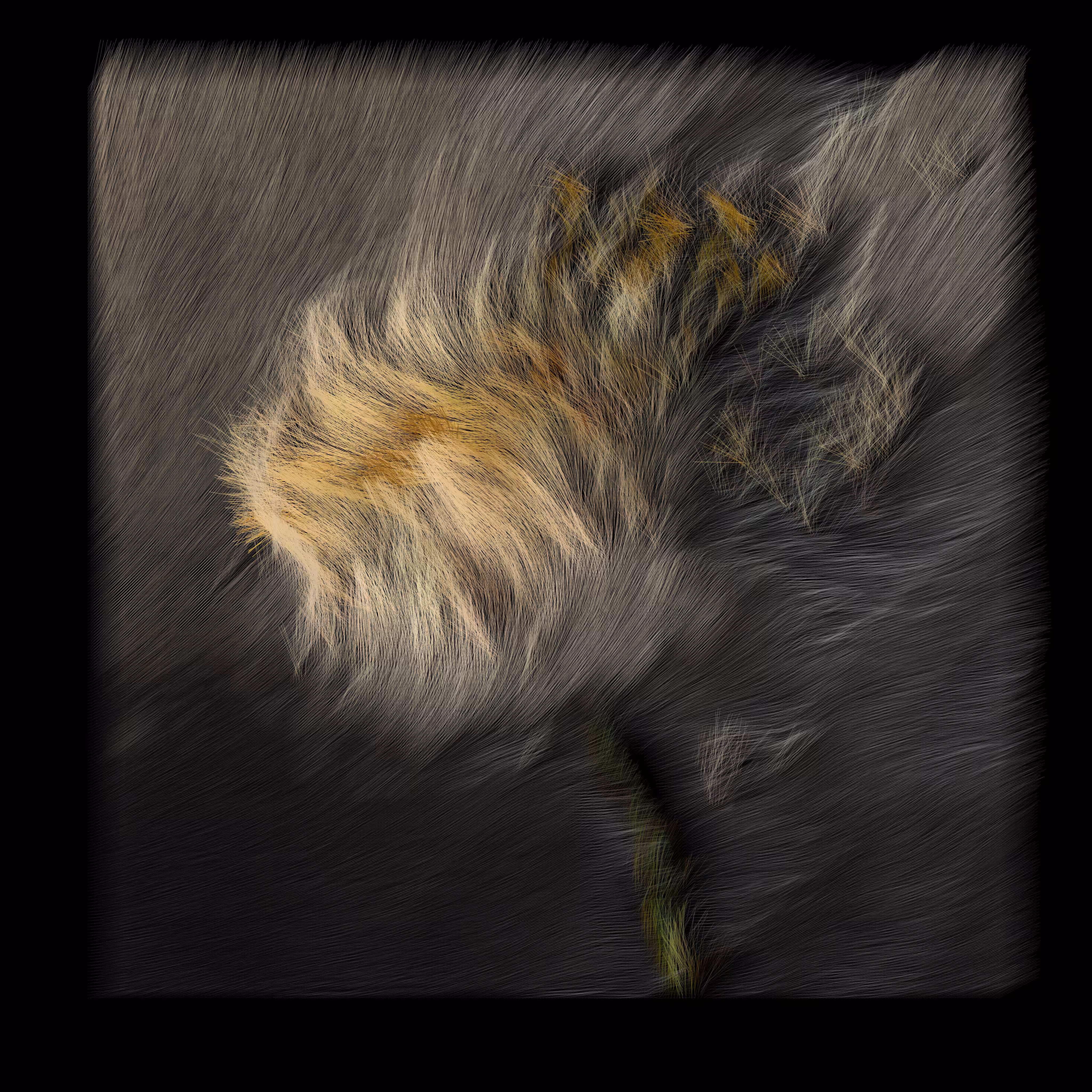 Dandelion (b63n,m,9834,2-20,11,16,11,25,18-c)
