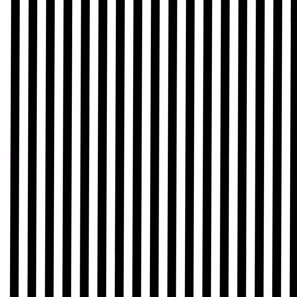Shimmy B/W