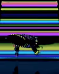 Slit Whale