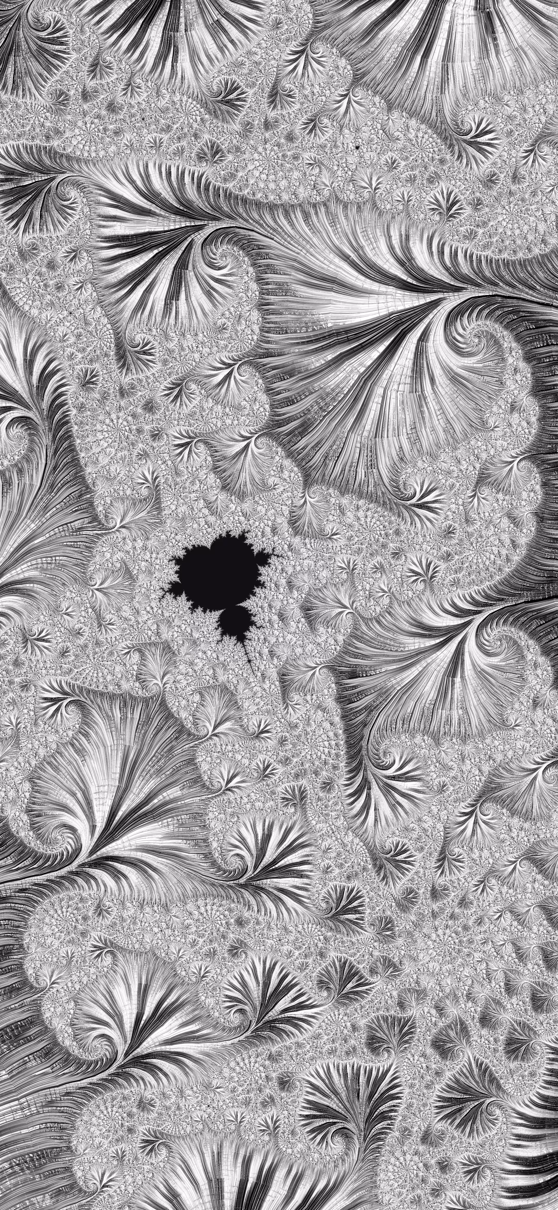 Monochrome fractal 