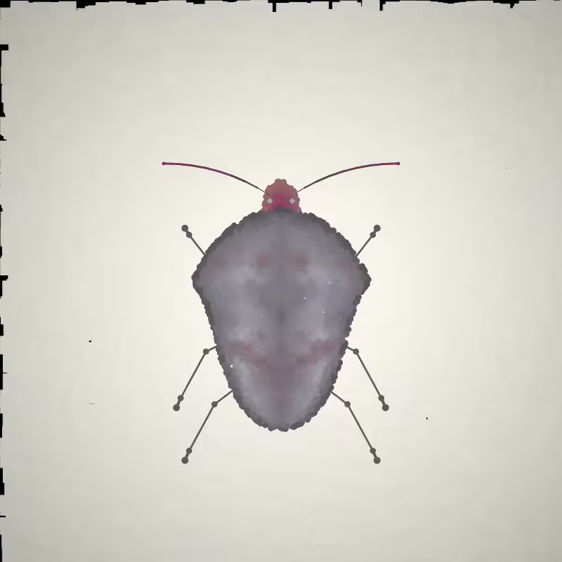 Beetle Sketches #12