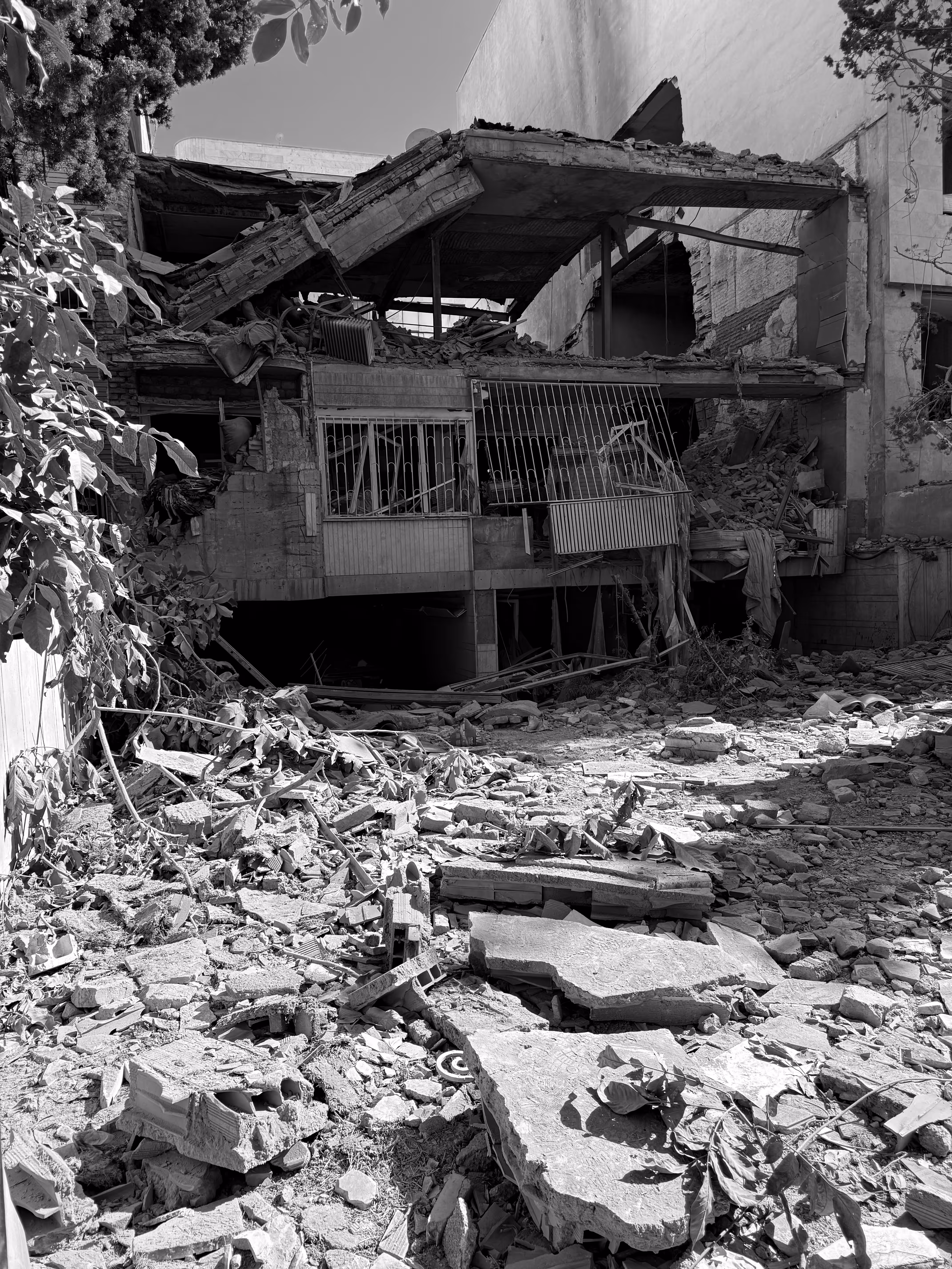 Ruins of Resilience