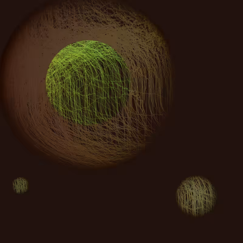 Orbit #113