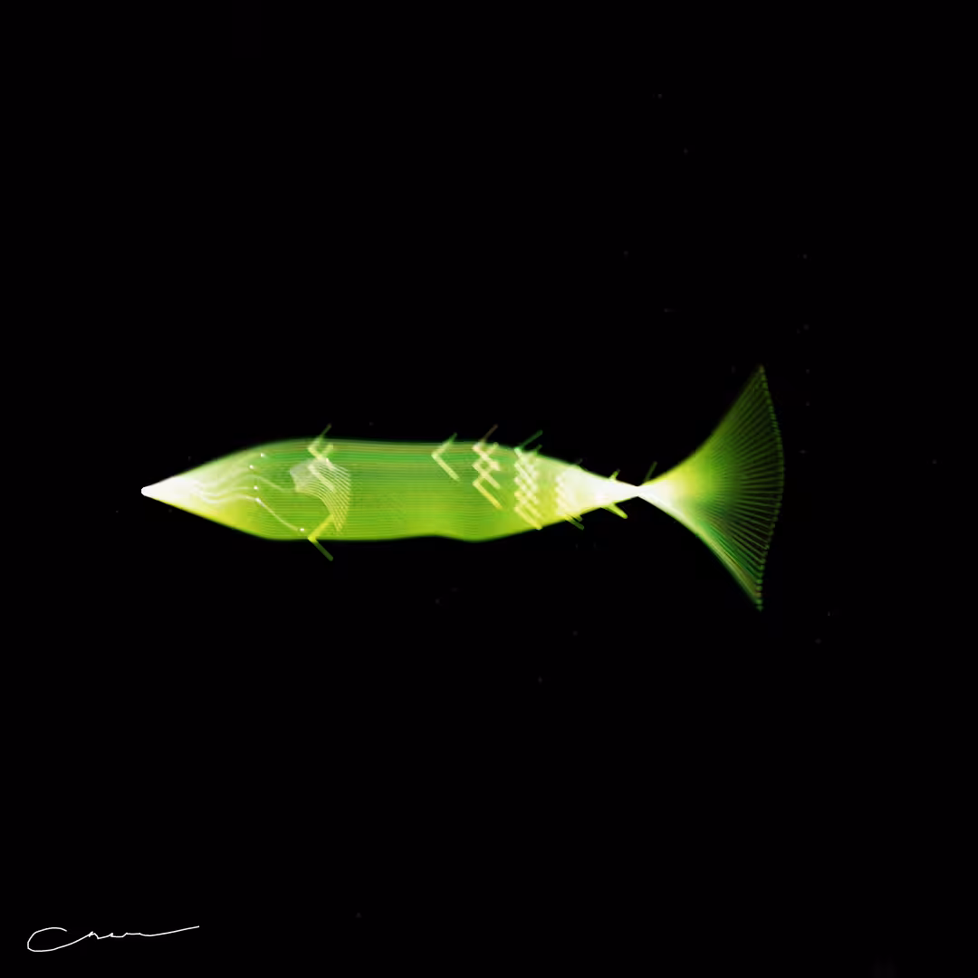 SoulFish #26