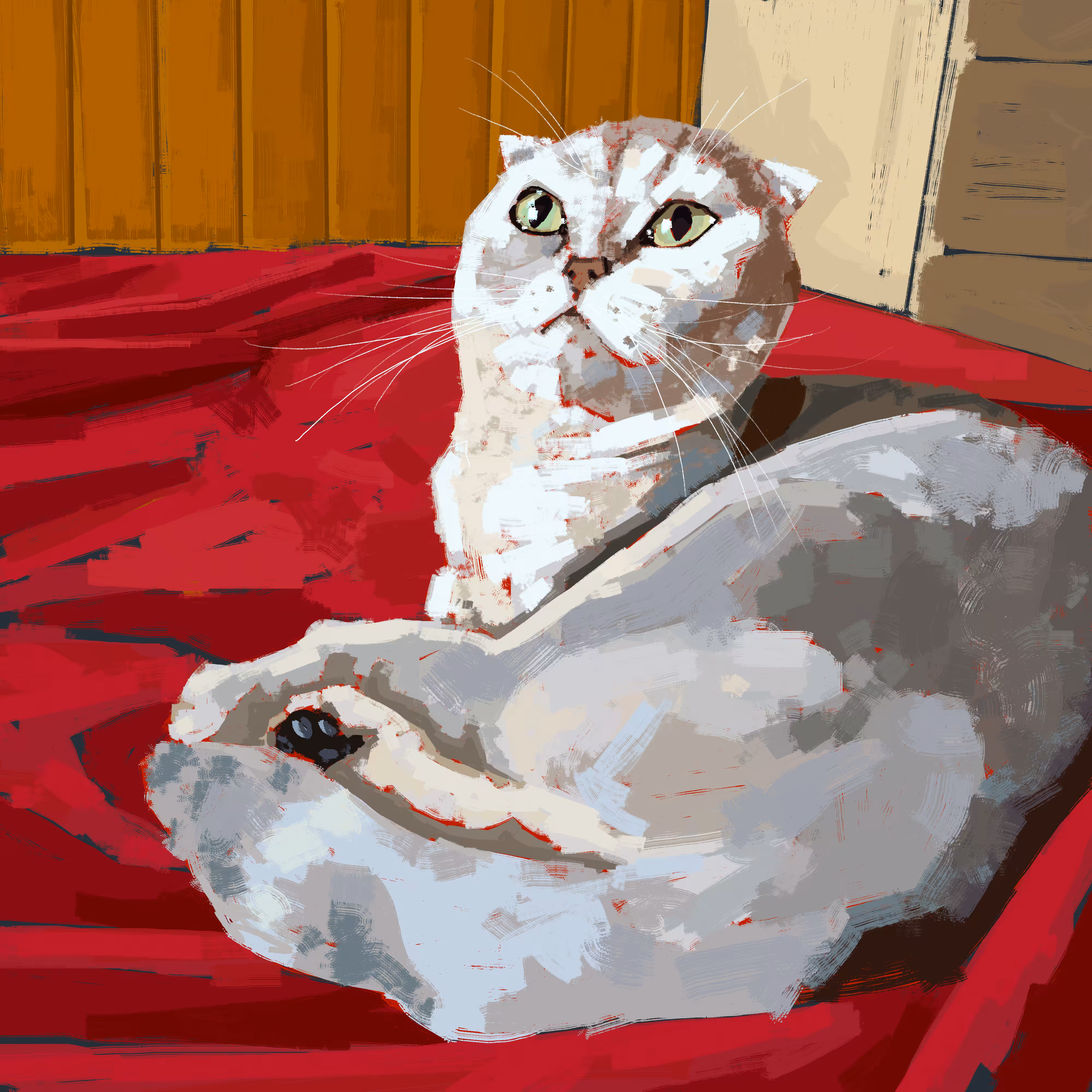 Cat #4