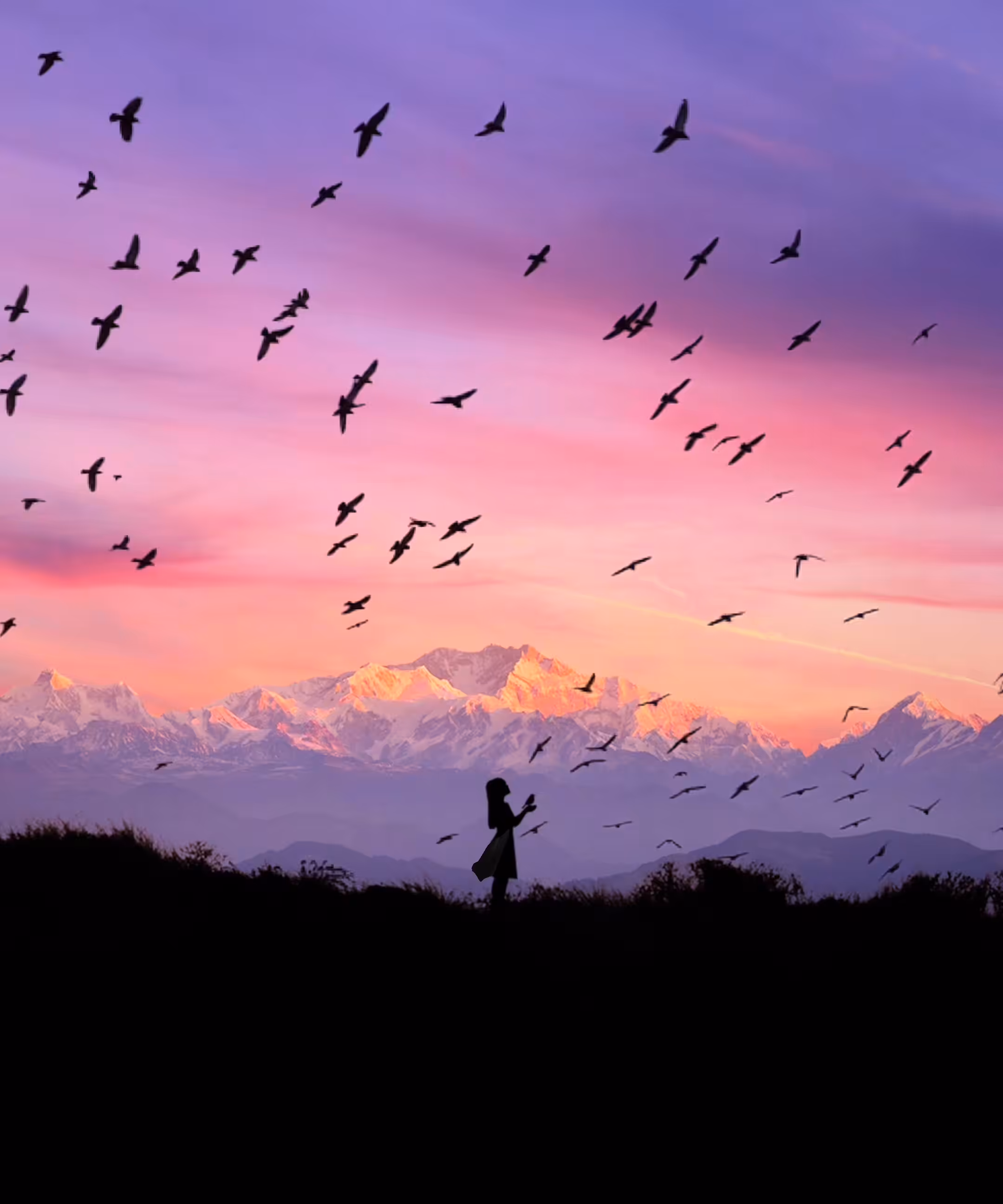 Bird Whisperer