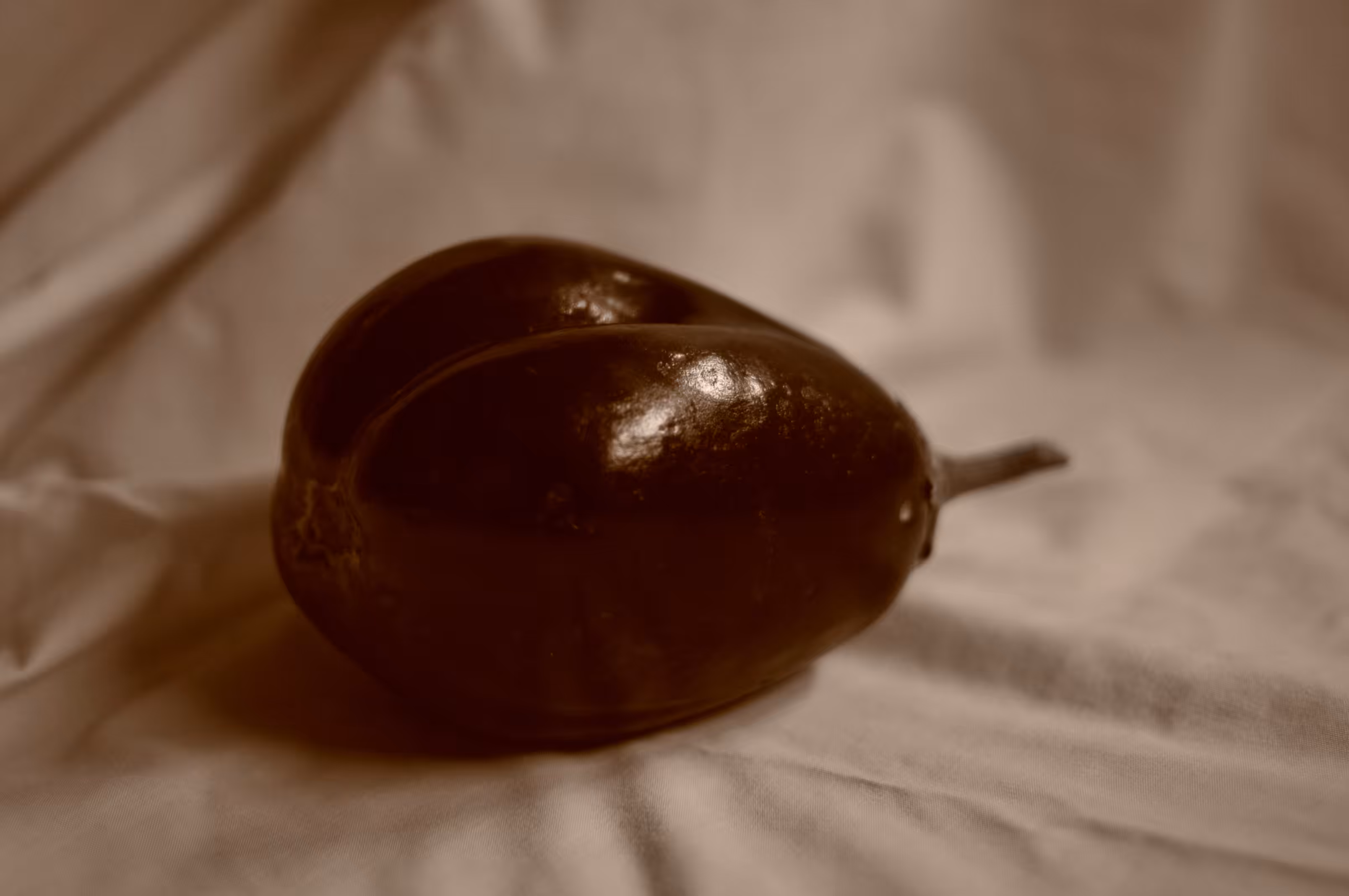 aubergine basking in winter light