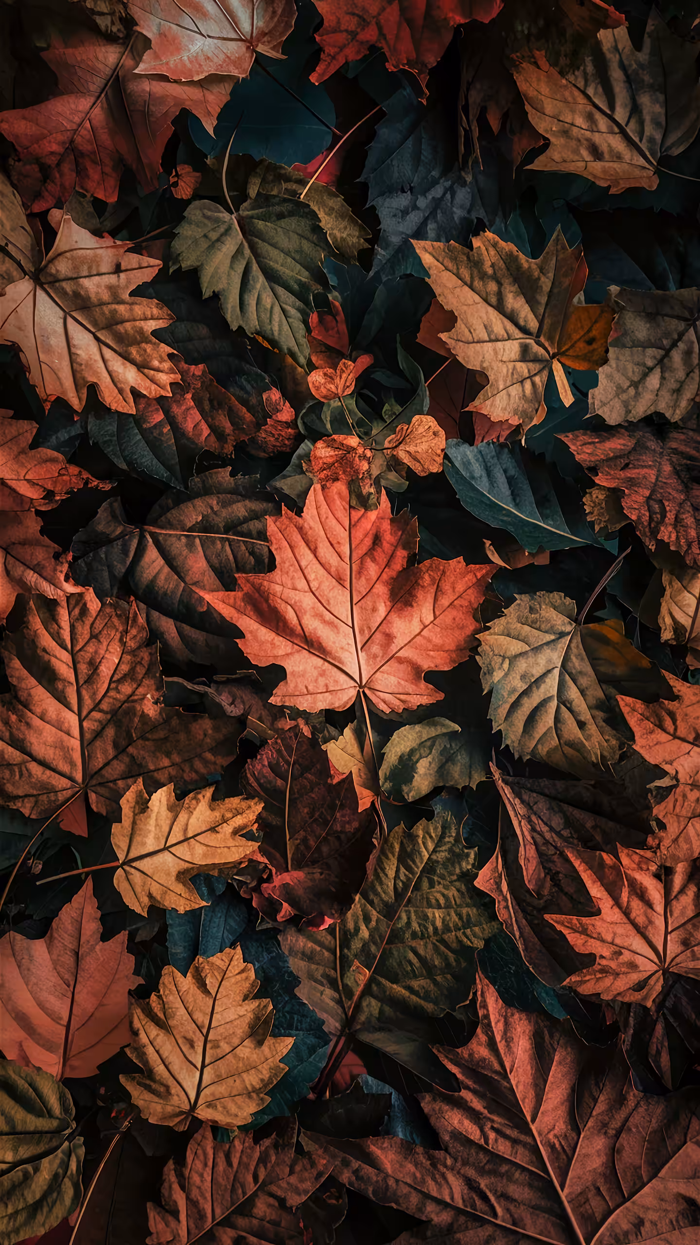 Autumn
